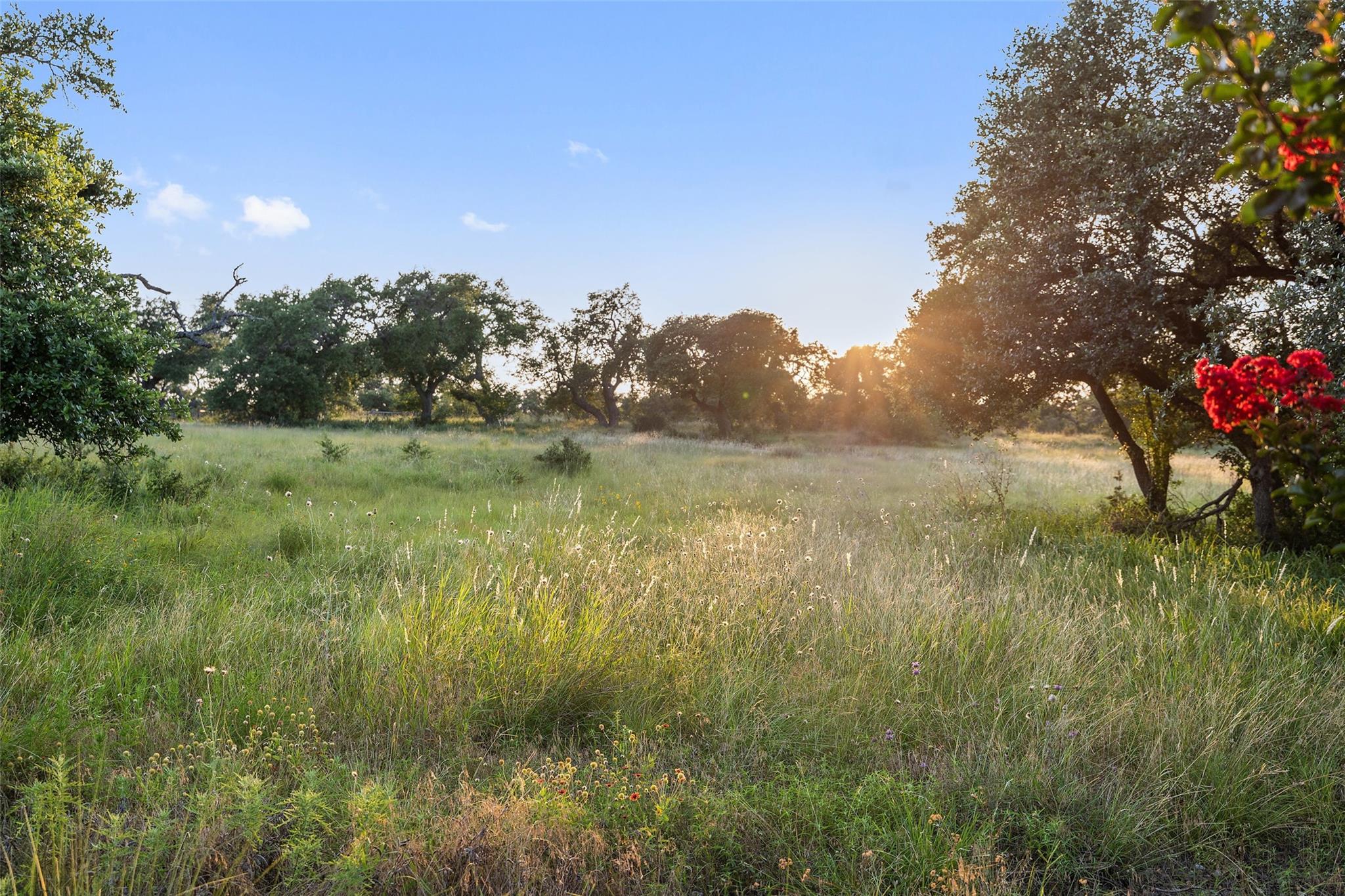 418 Cattle Trail DR