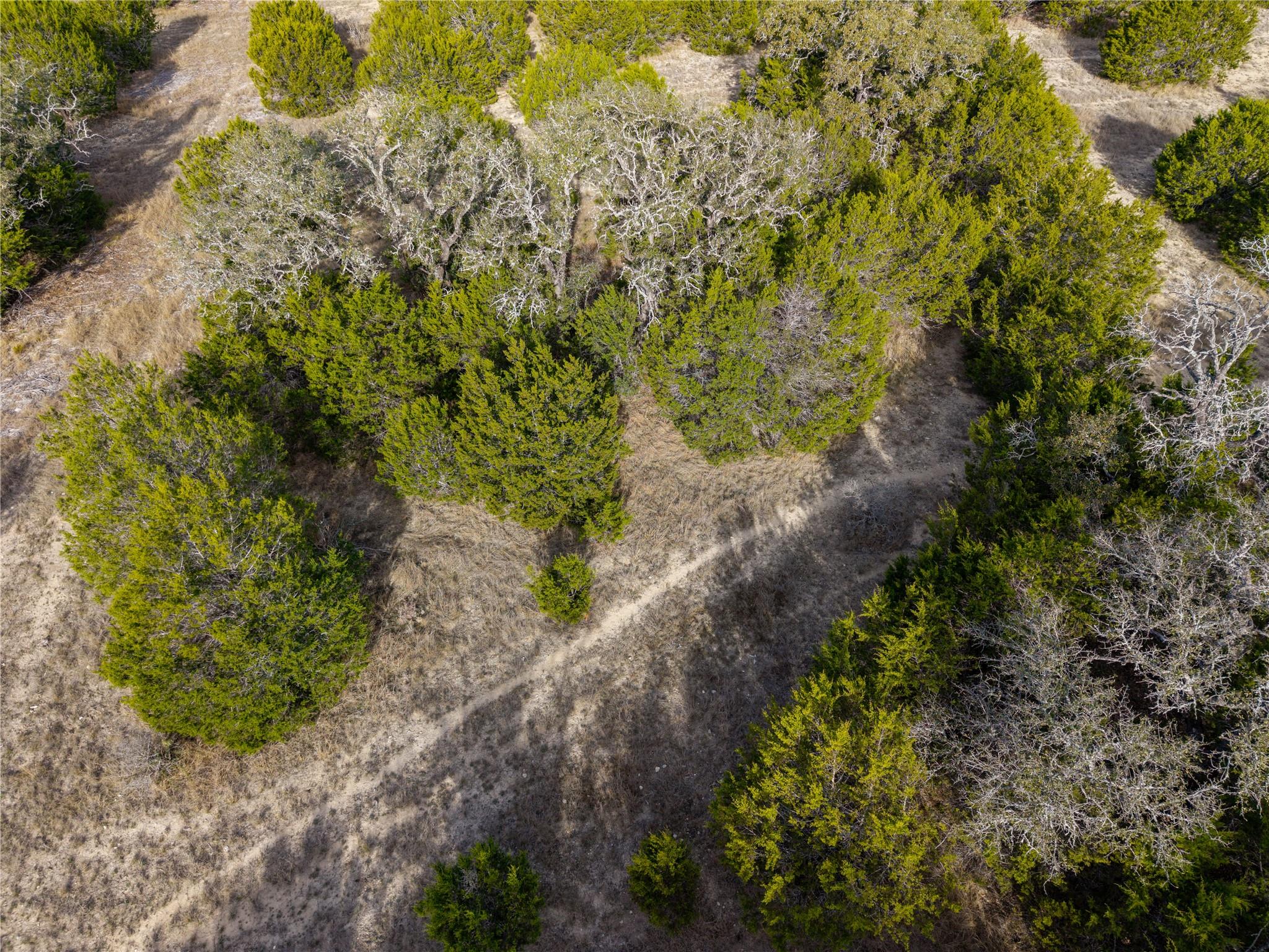 Lot 66 Bluff View RD