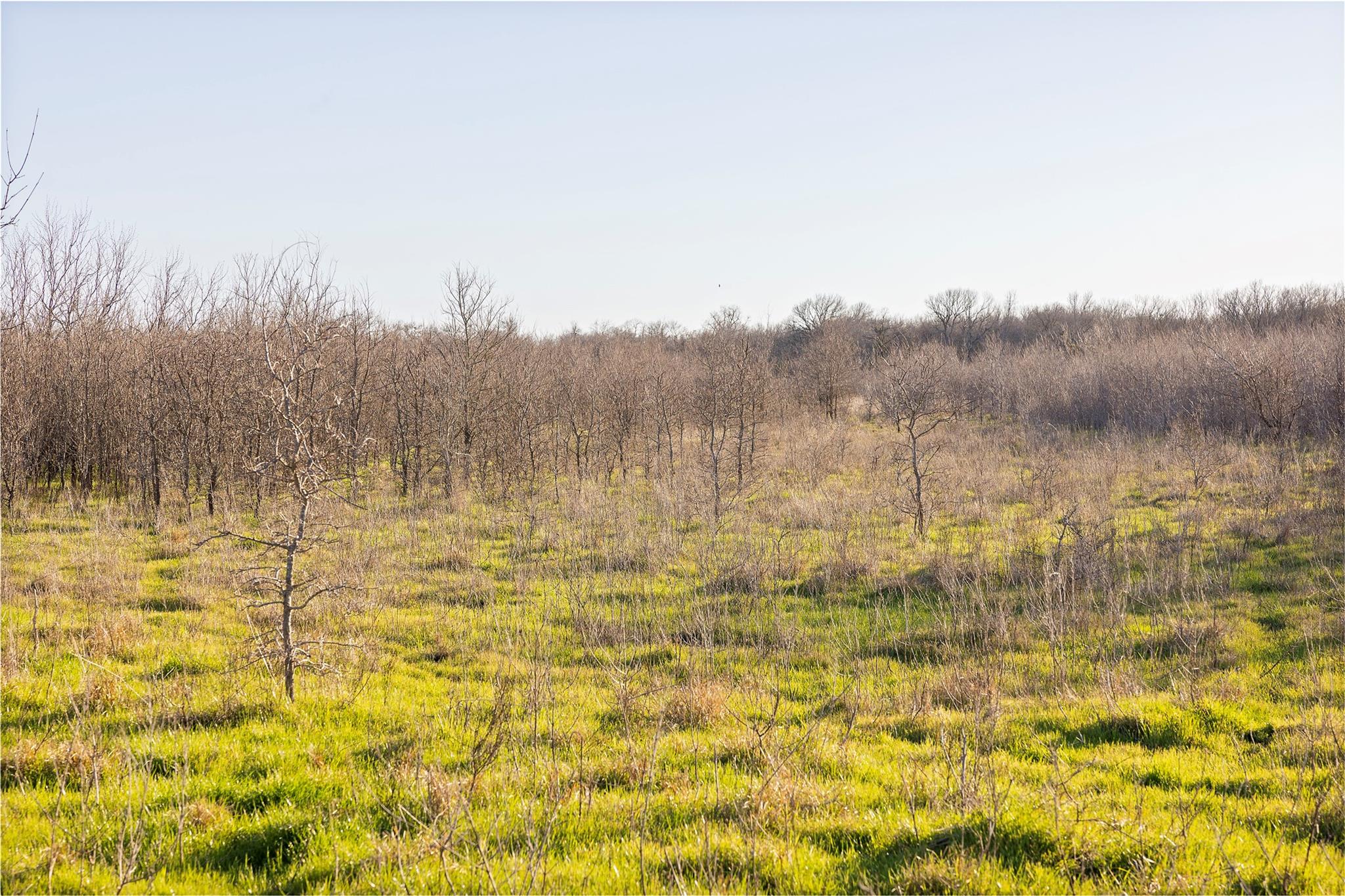 2801 County Road 436