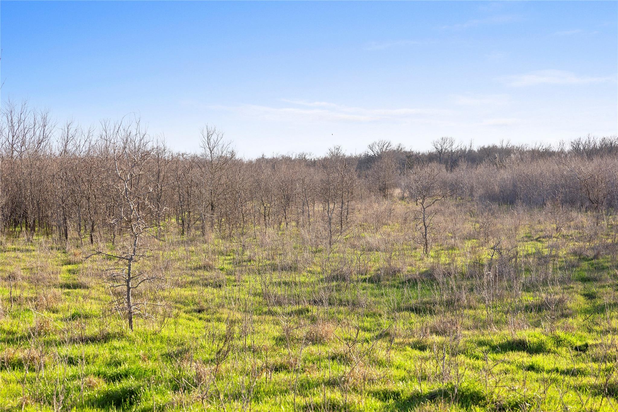 2801 County Road 436