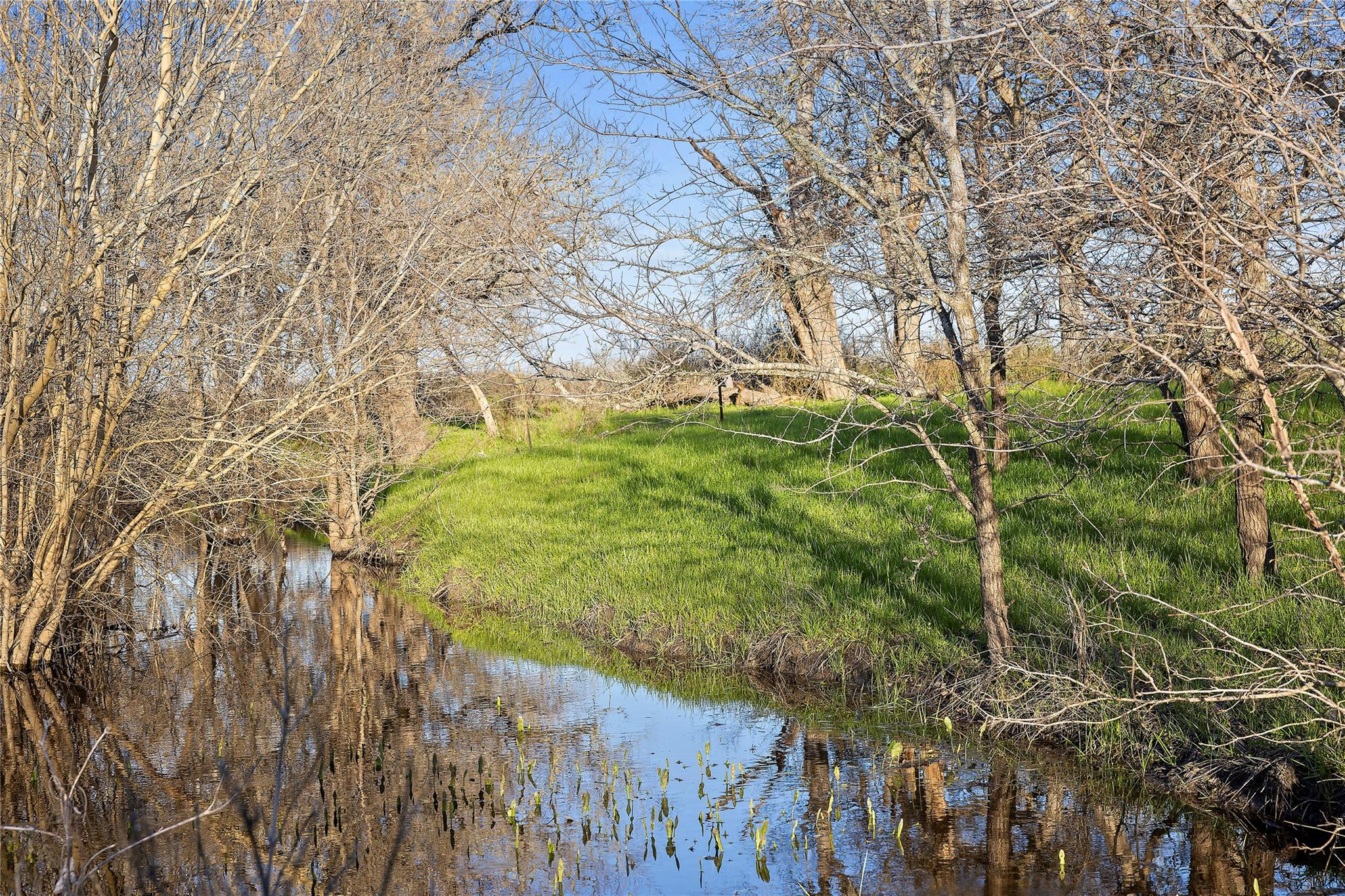 2801 County Road 436