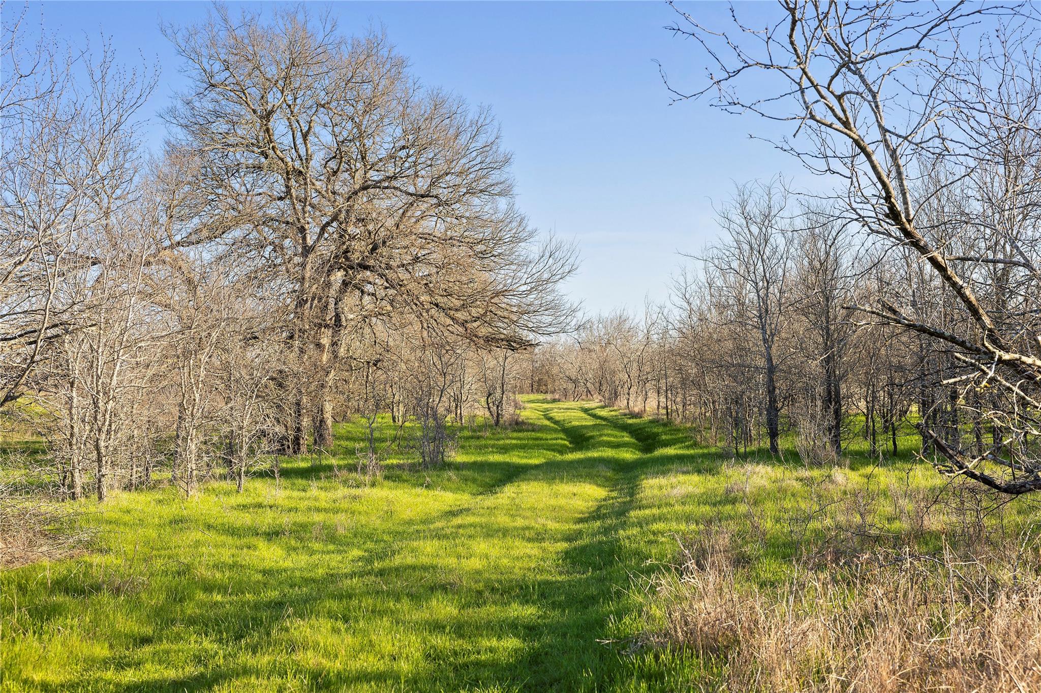 2801 County Road 436
