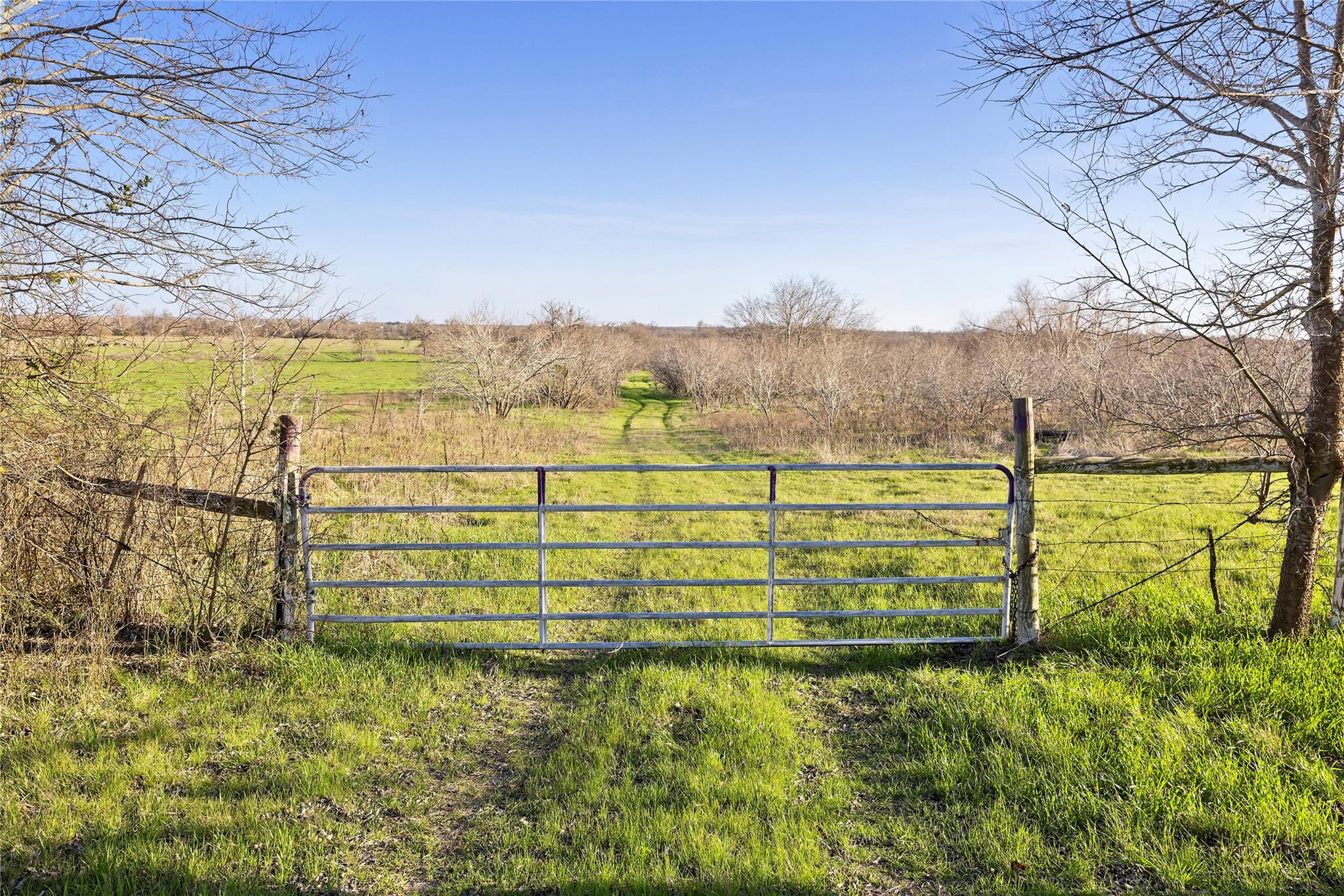 2801 County Road 436