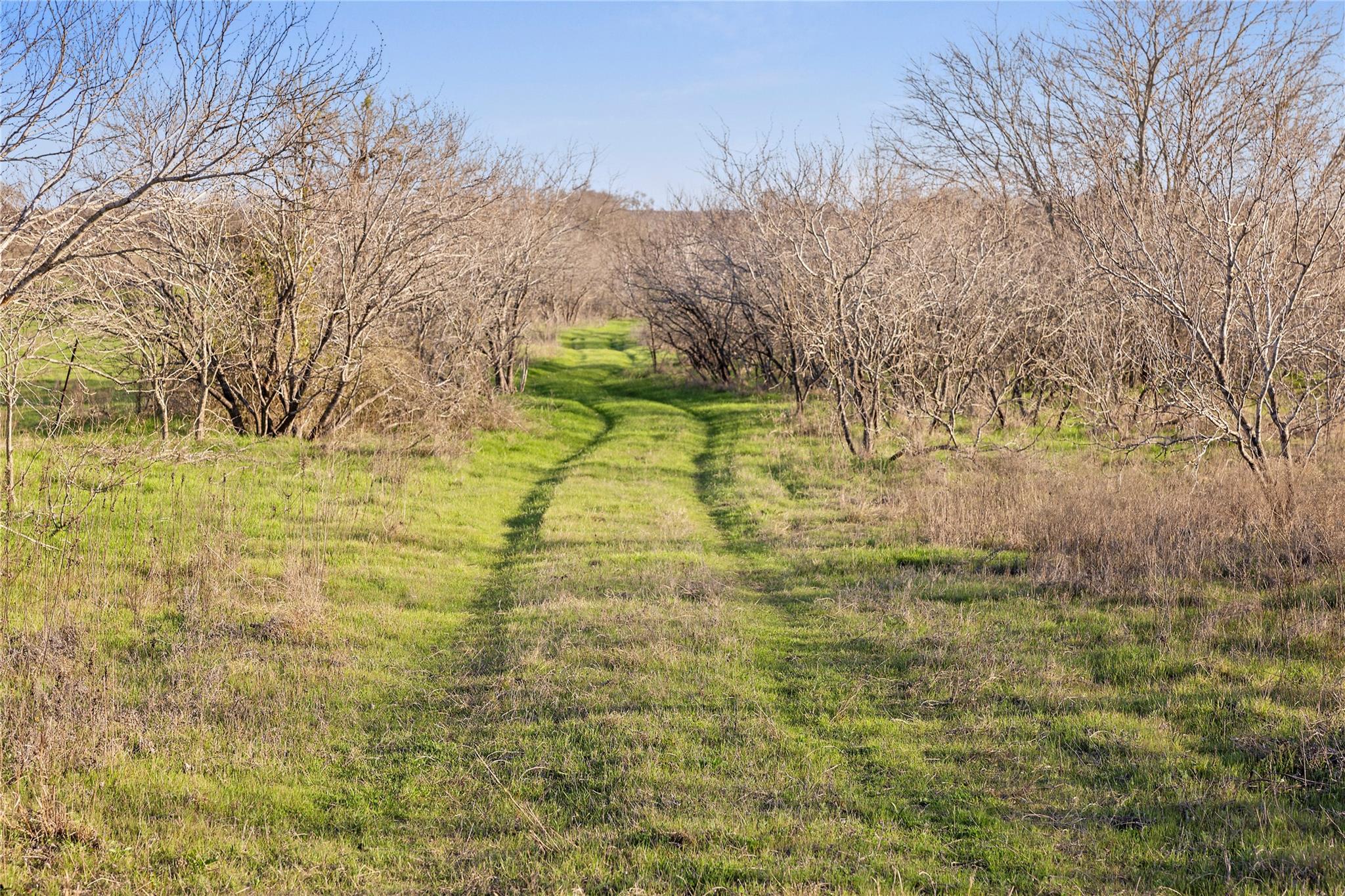 2801 County Road 436