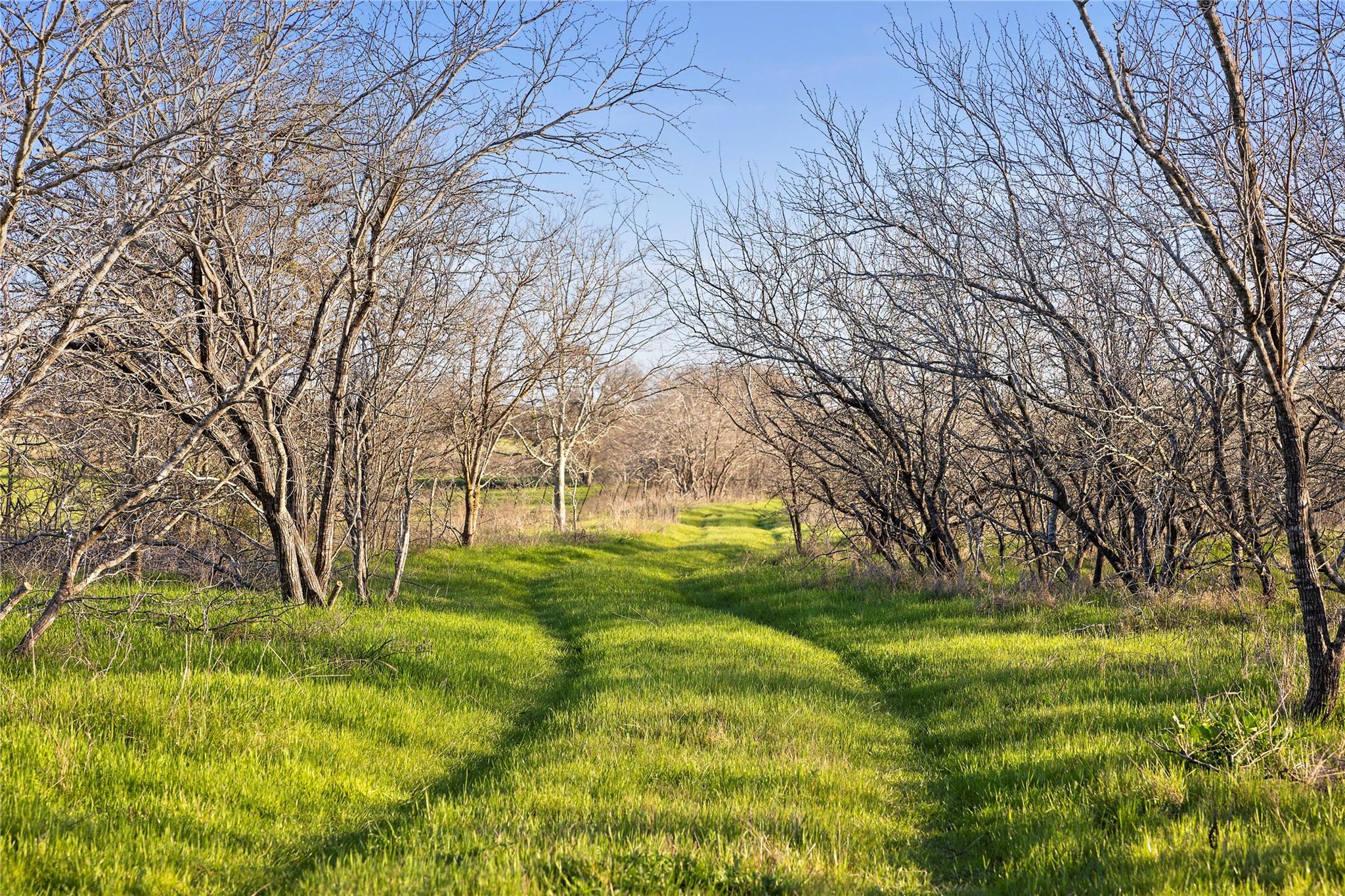 2801 County Road 436