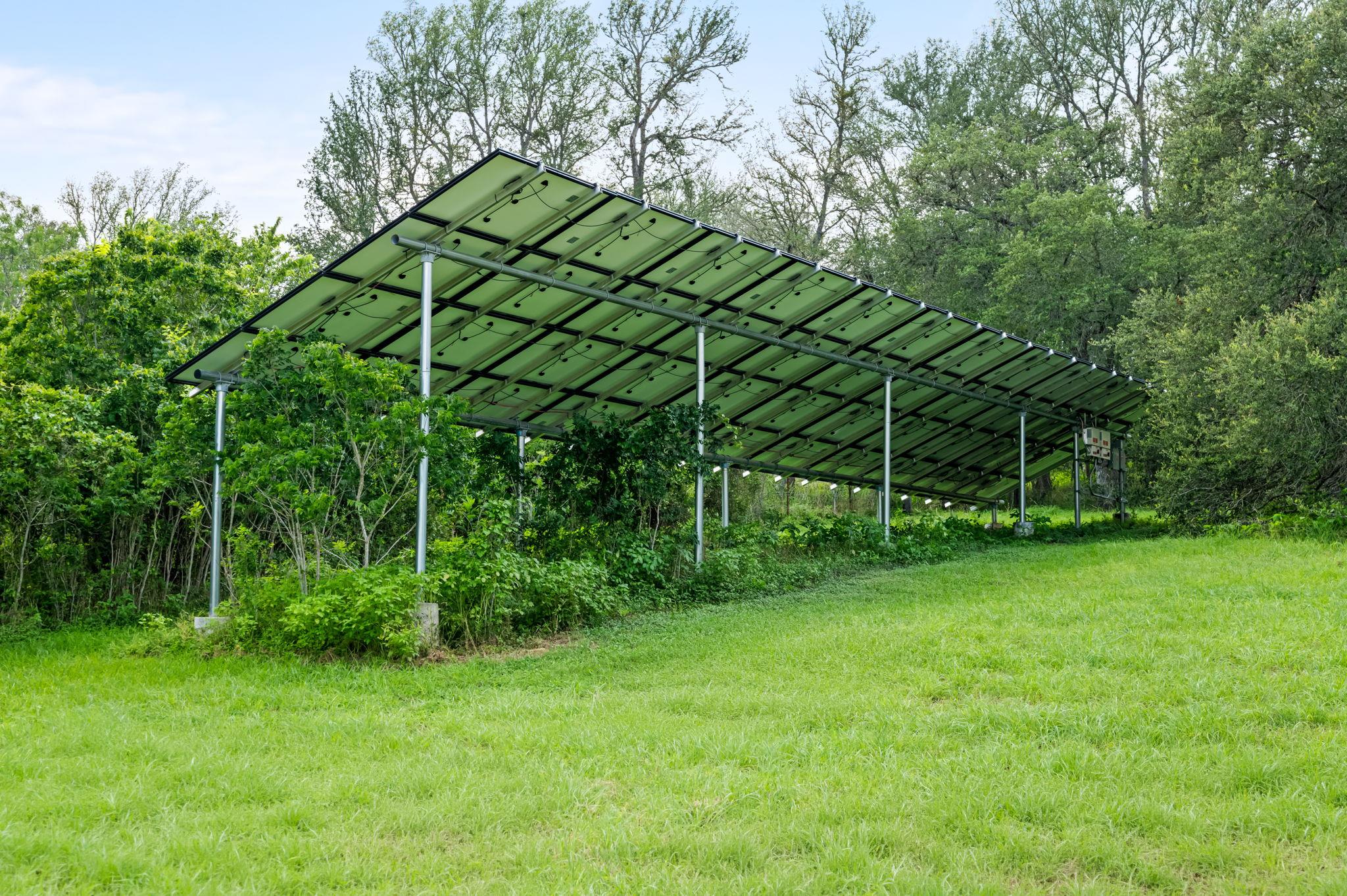 317 Walnut Creek RD