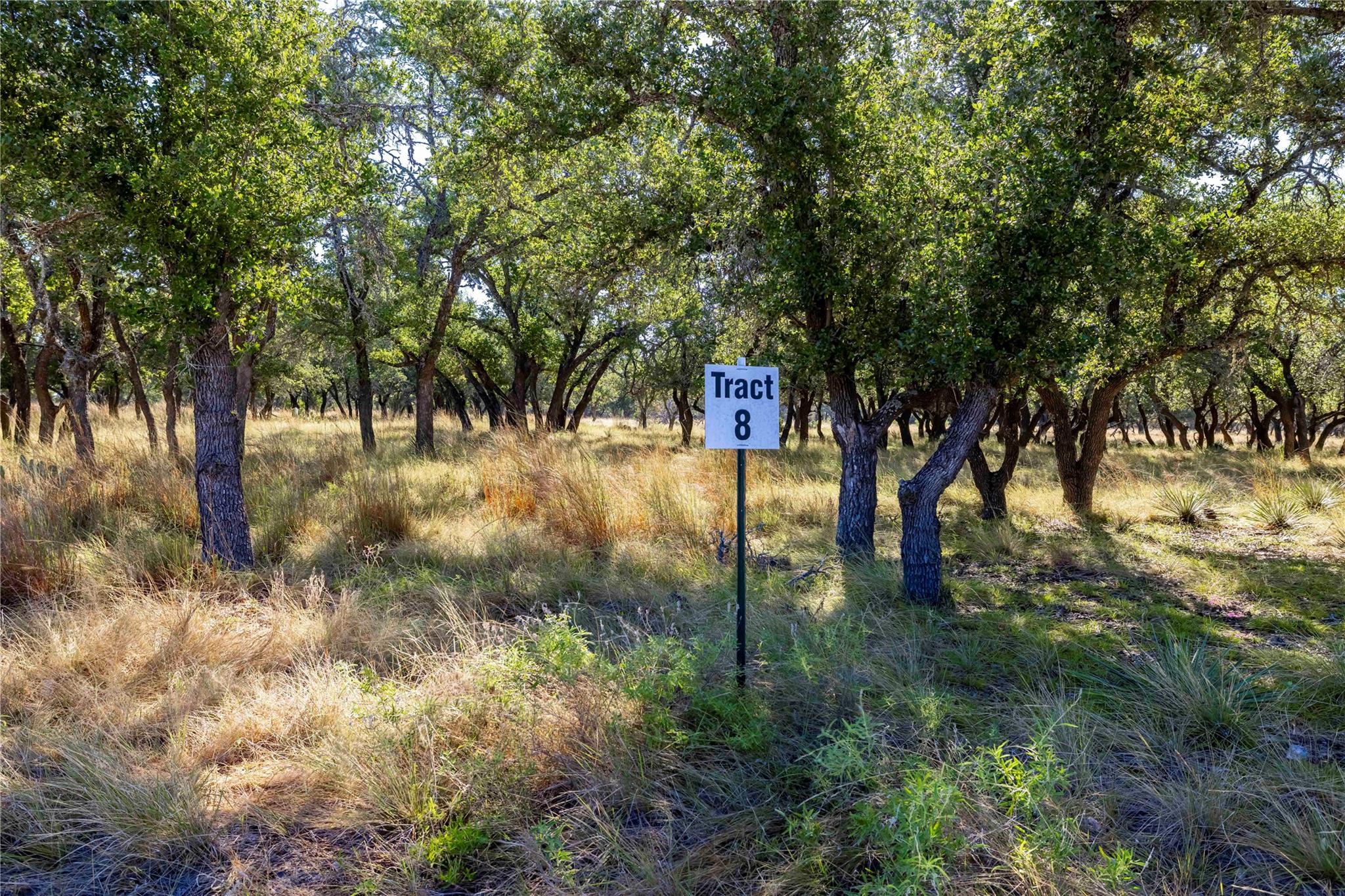 TBD Legacy Oaks DR