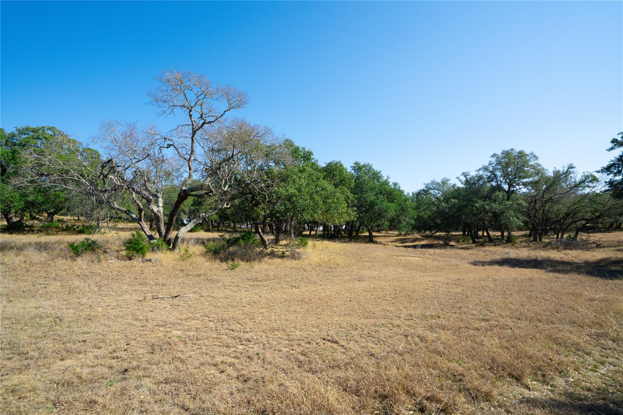 101 Mystic Overlook DR
