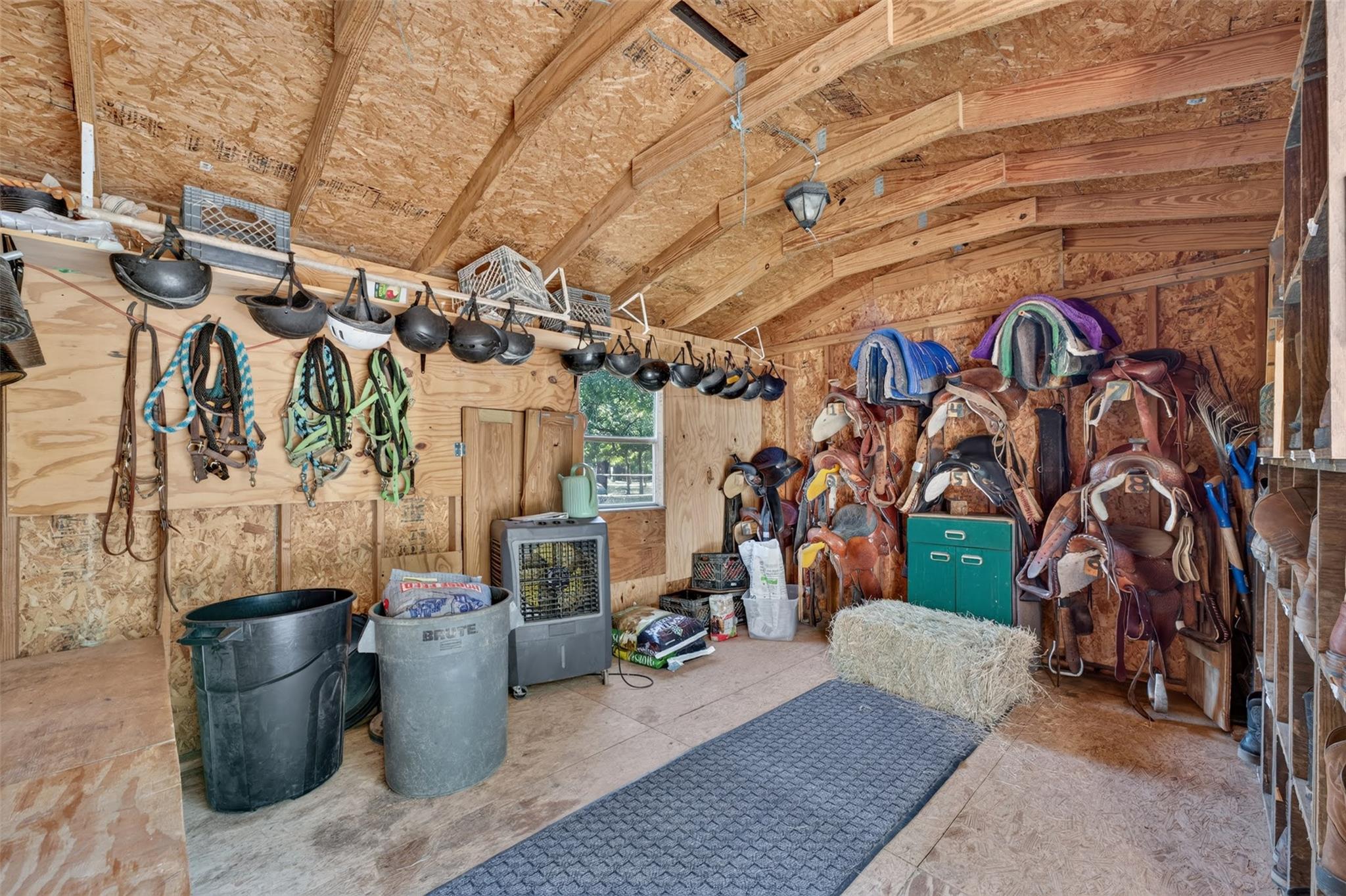 2274 County Road 203 LOOP