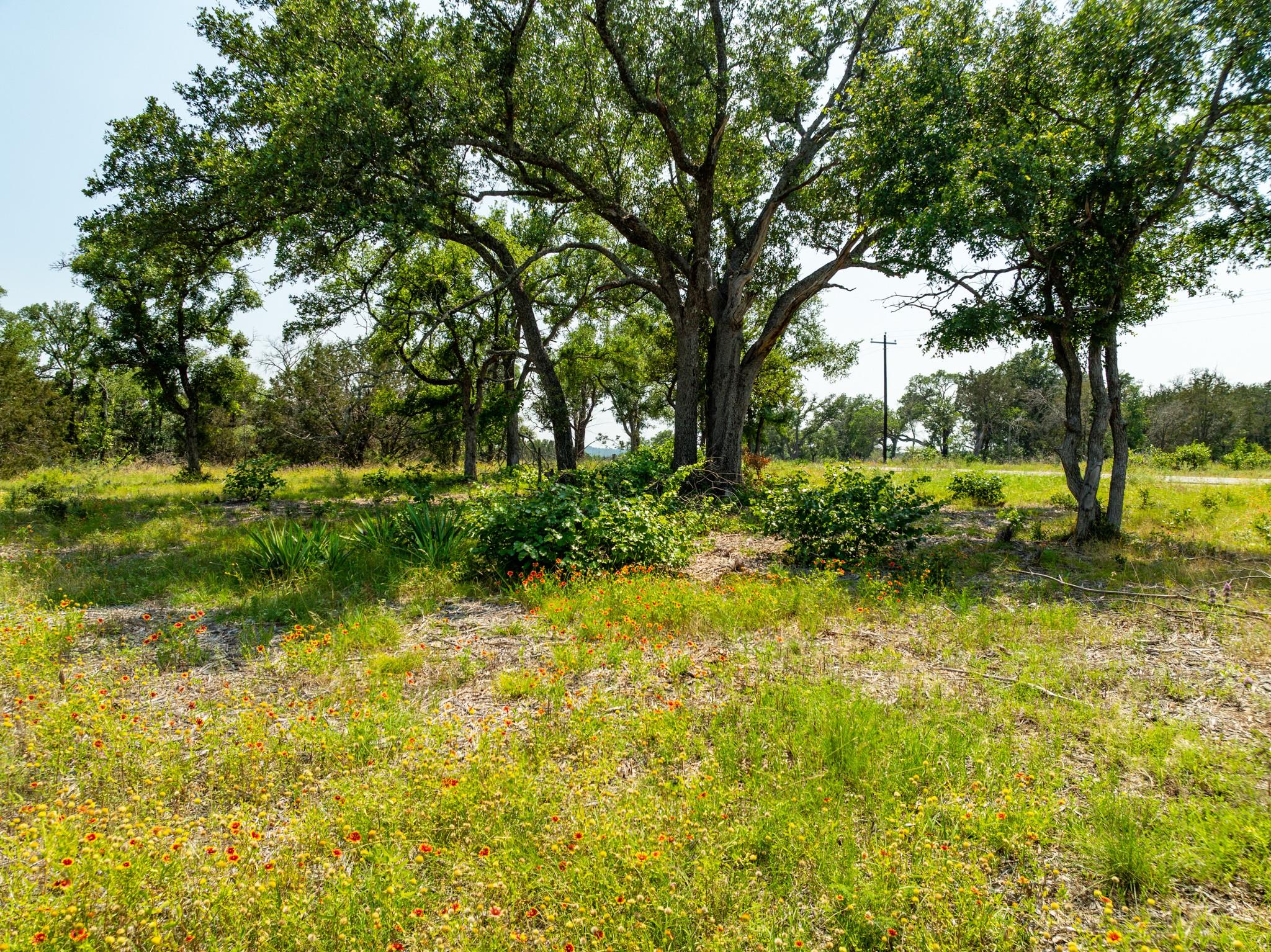 TBD Pitchfork Ranch RD