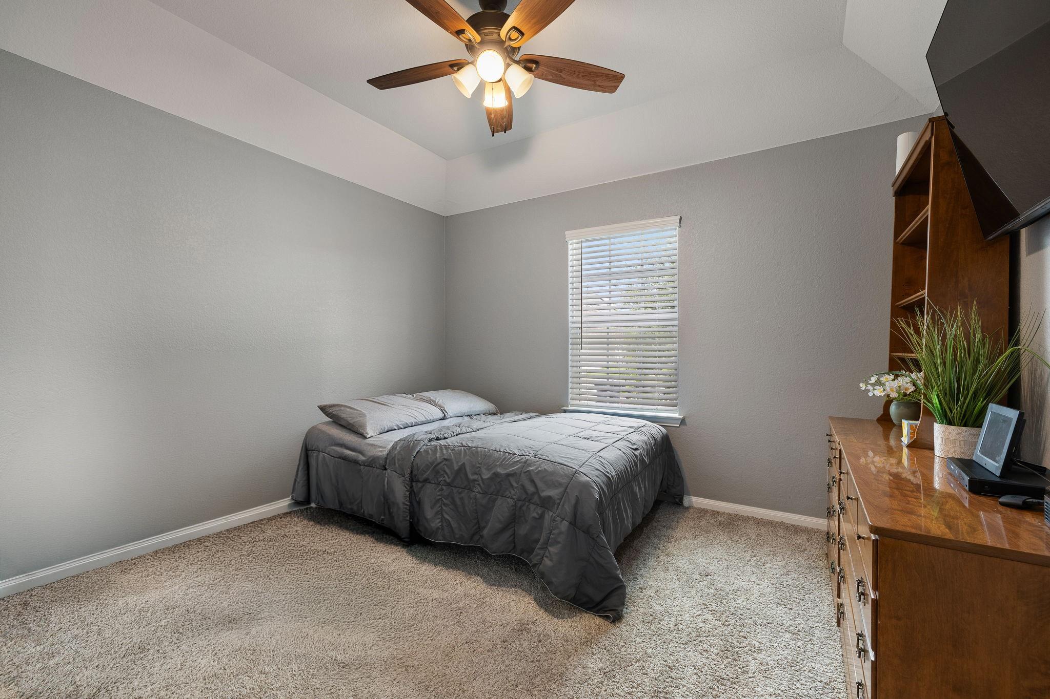 153 Coronella DR