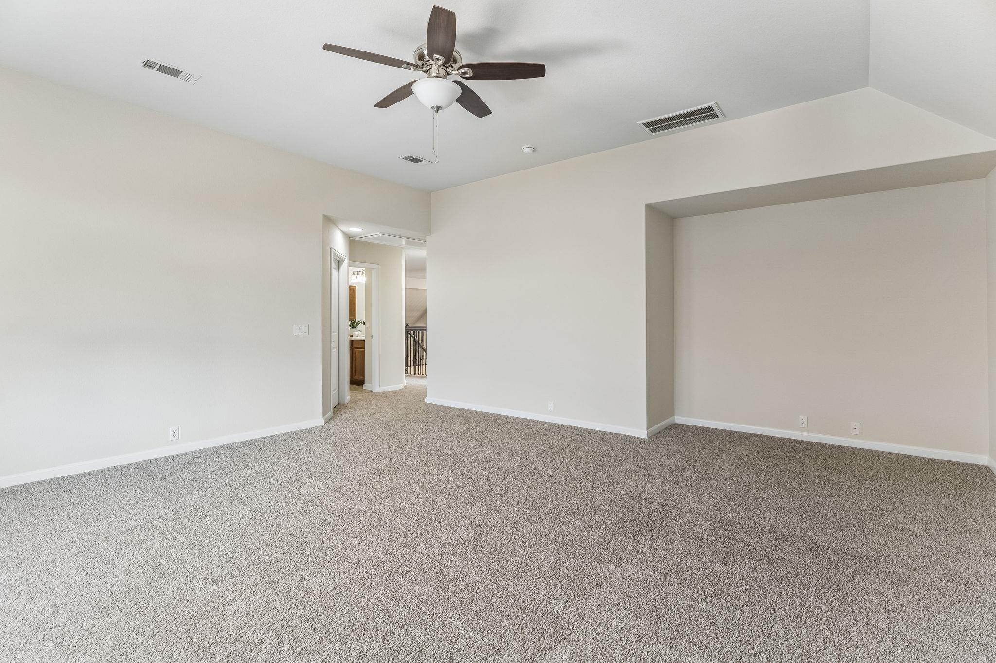 388 Desert Willow WAY