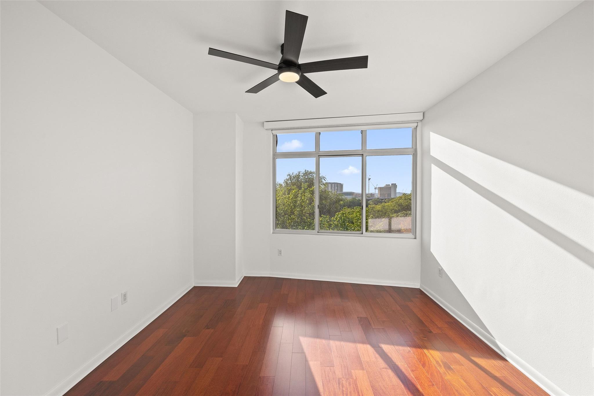 54 Rainey ST # 502