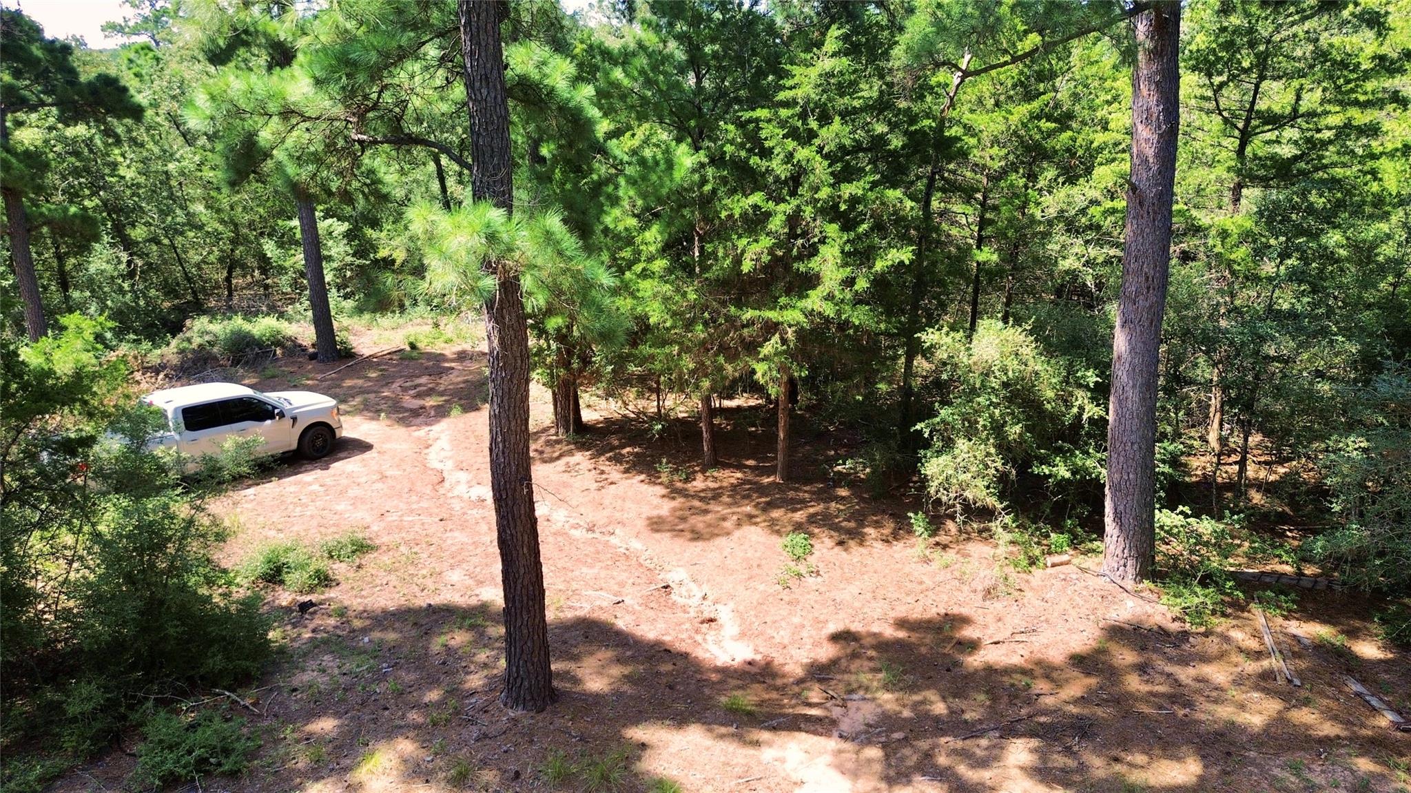445 Pine Valley LOOP