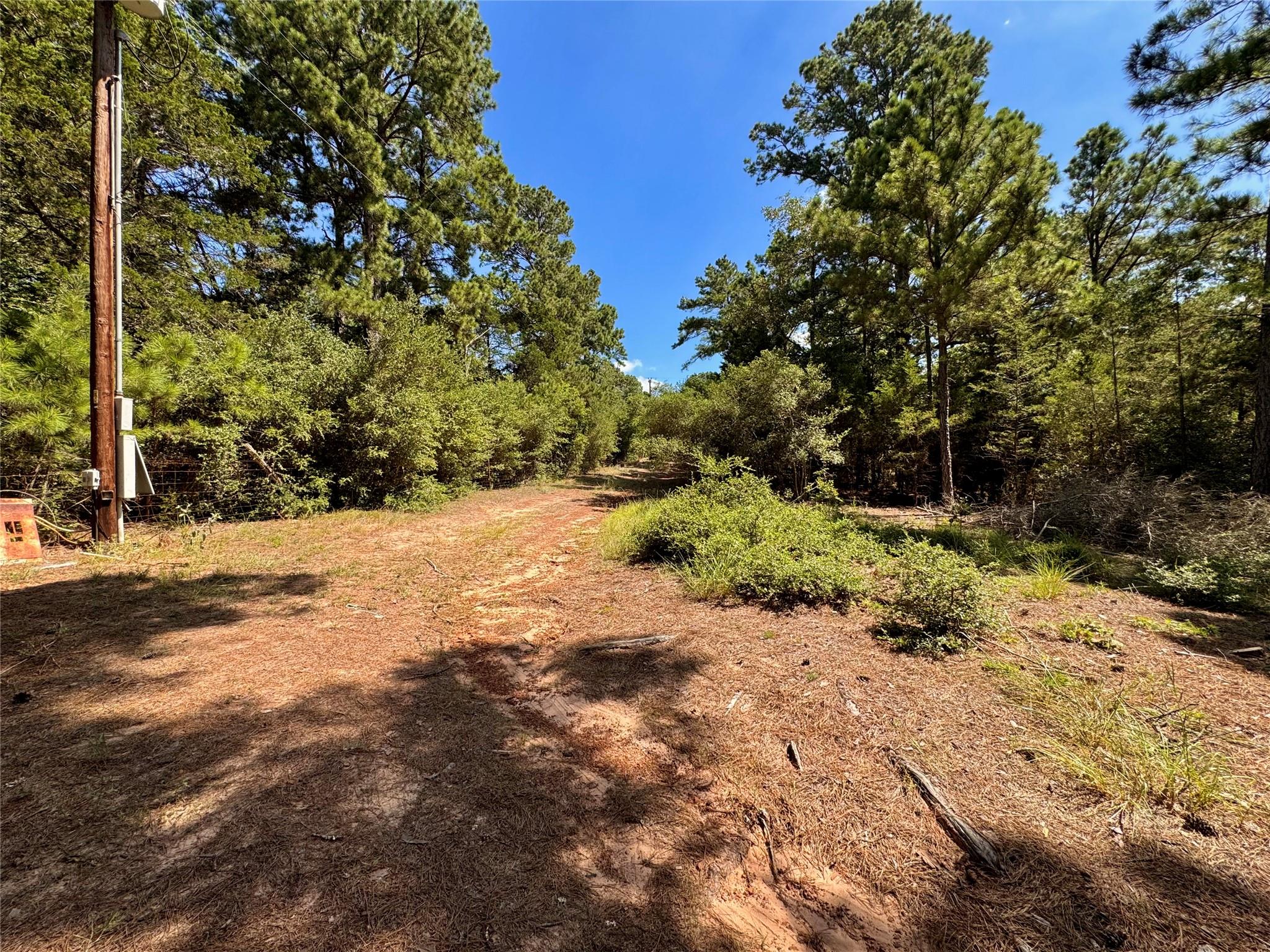 445 Pine Valley LOOP