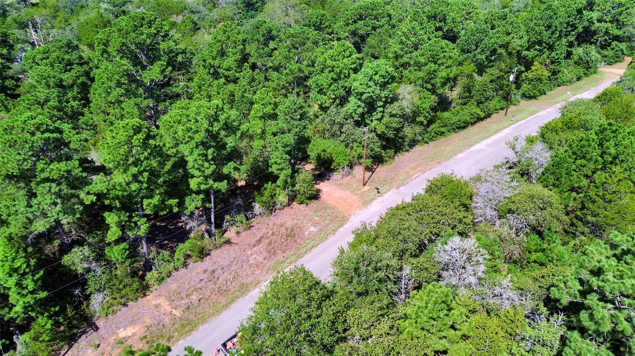 445 Pine Valley LOOP