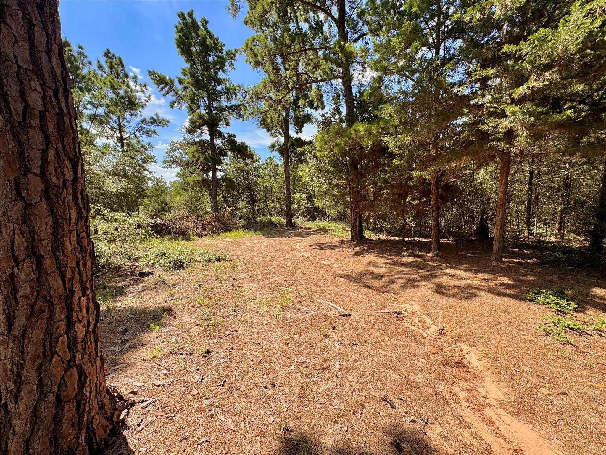 445 Pine Valley LOOP