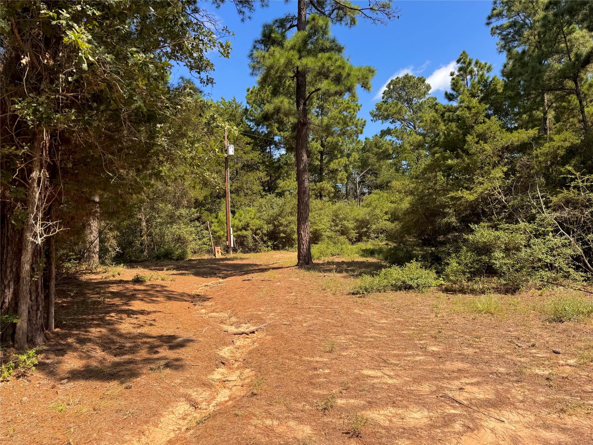 445 Pine Valley LOOP