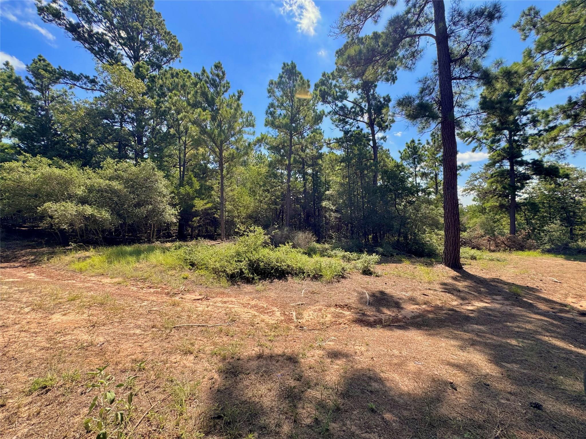 445 Pine Valley LOOP