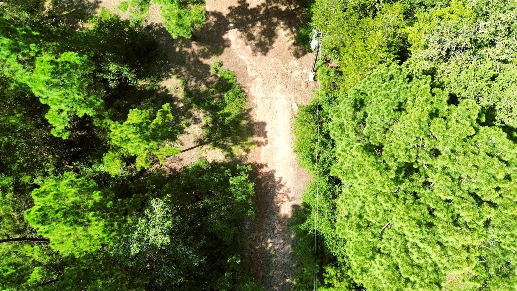 445 Pine Valley LOOP