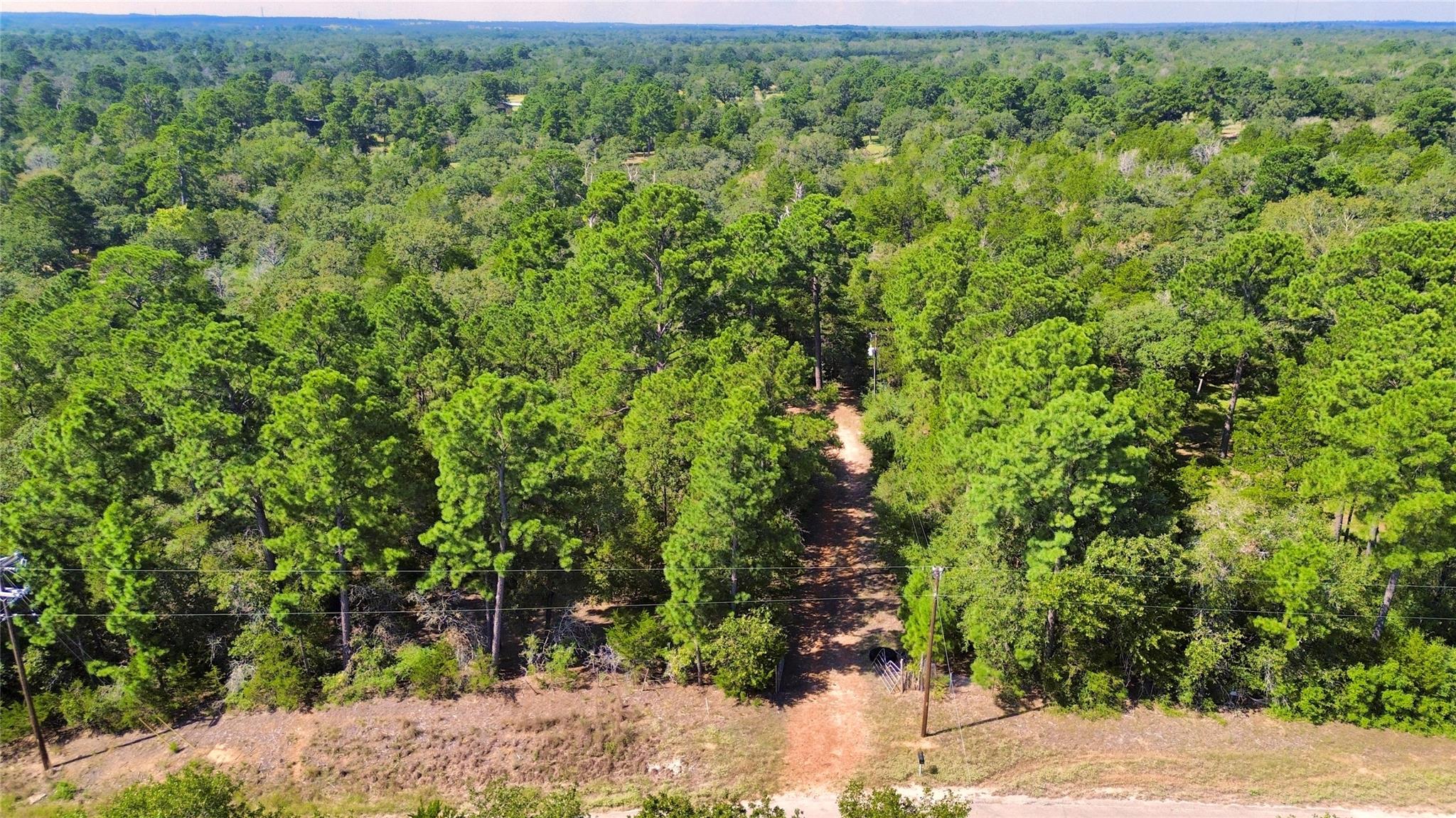 445 Pine Valley LOOP