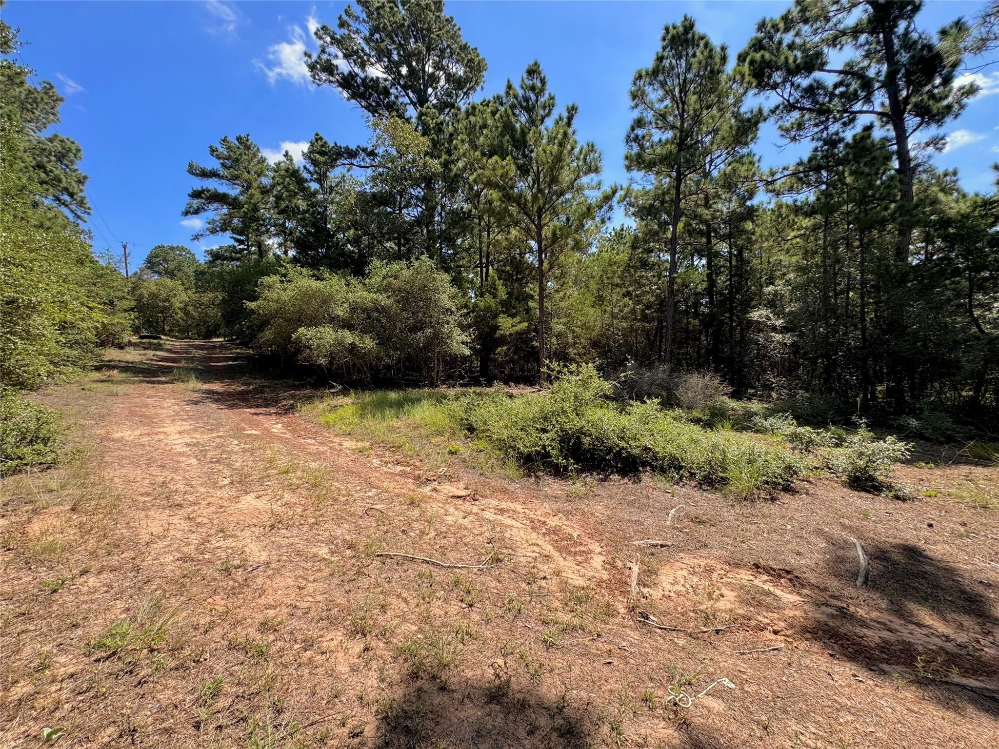445 Pine Valley LOOP