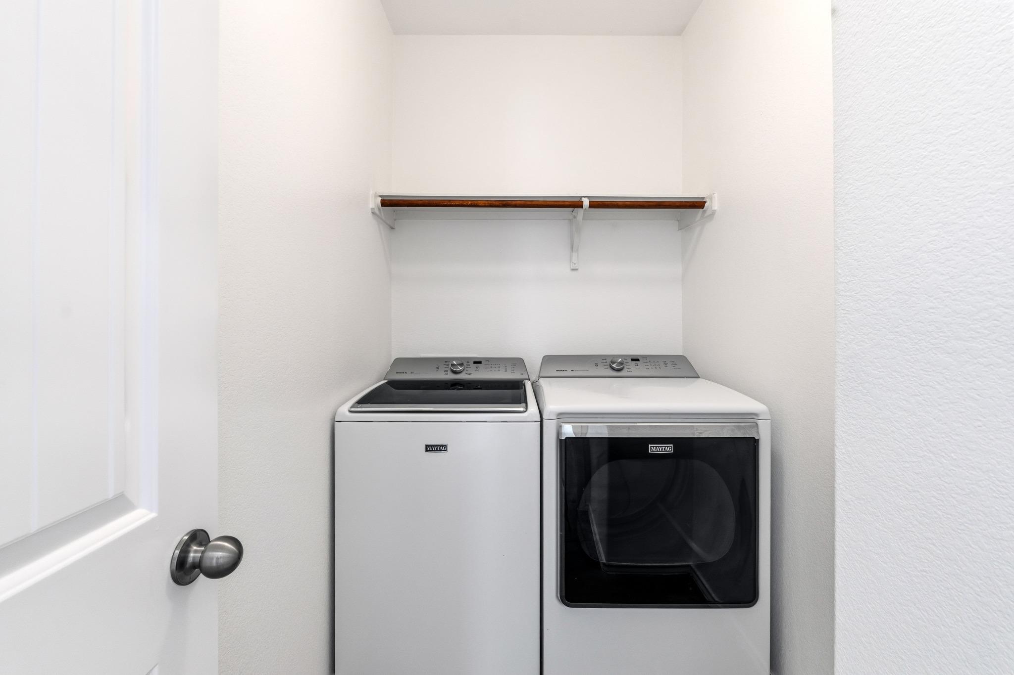 172 Housefinch LOOP