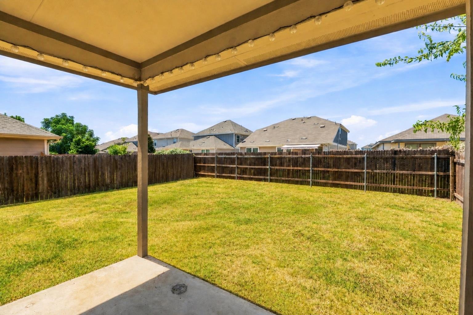 172 Housefinch LOOP
