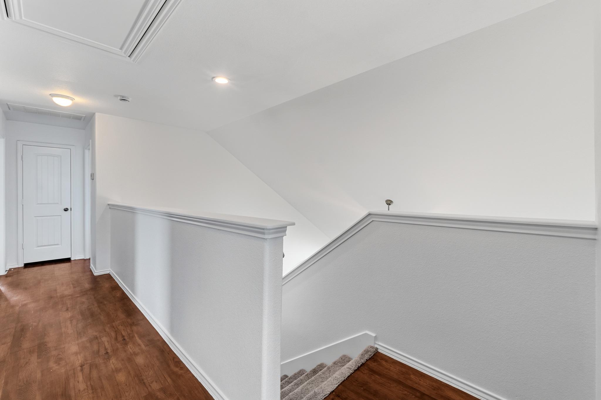 172 Housefinch LOOP
