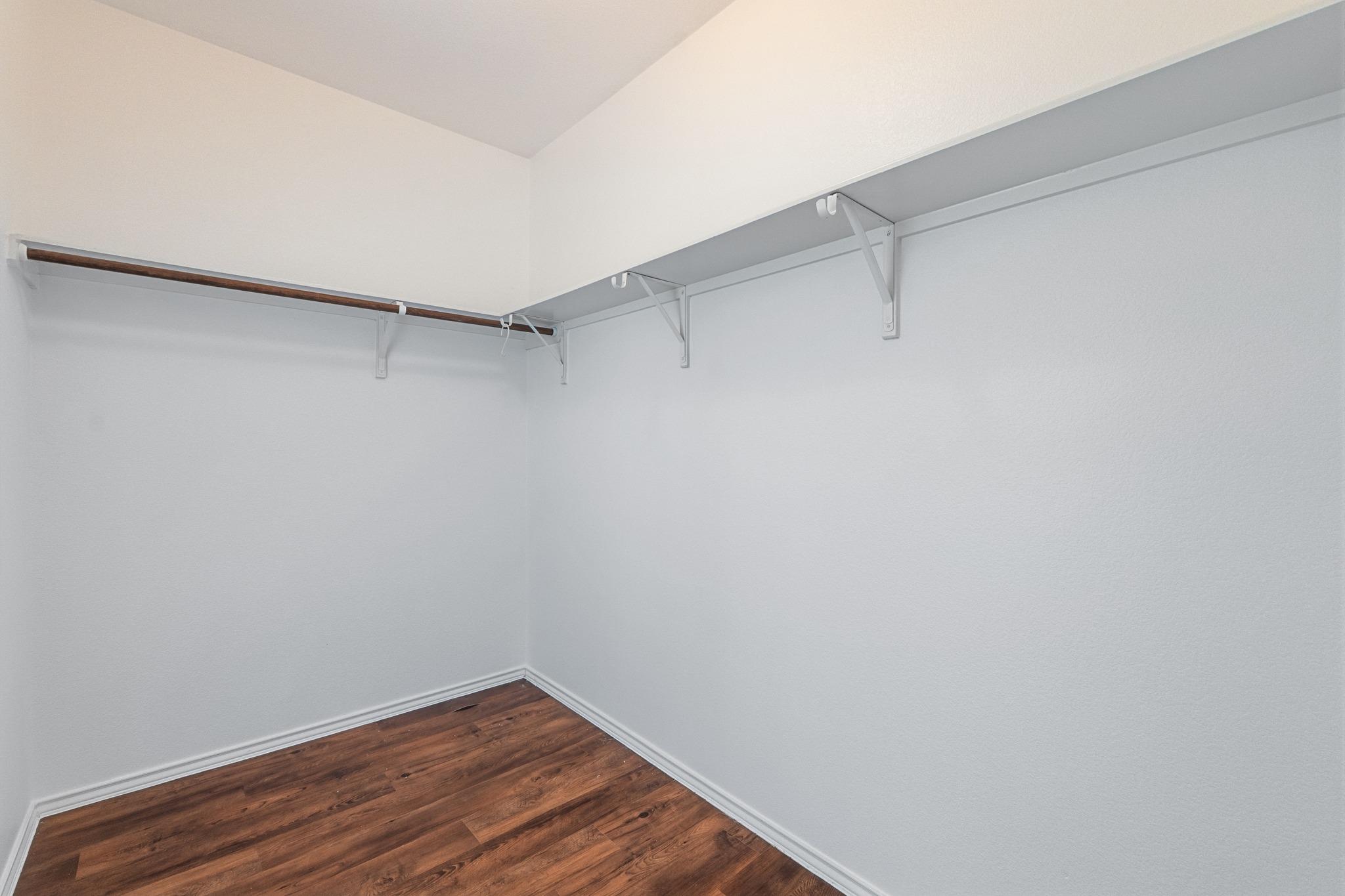 172 Housefinch LOOP
