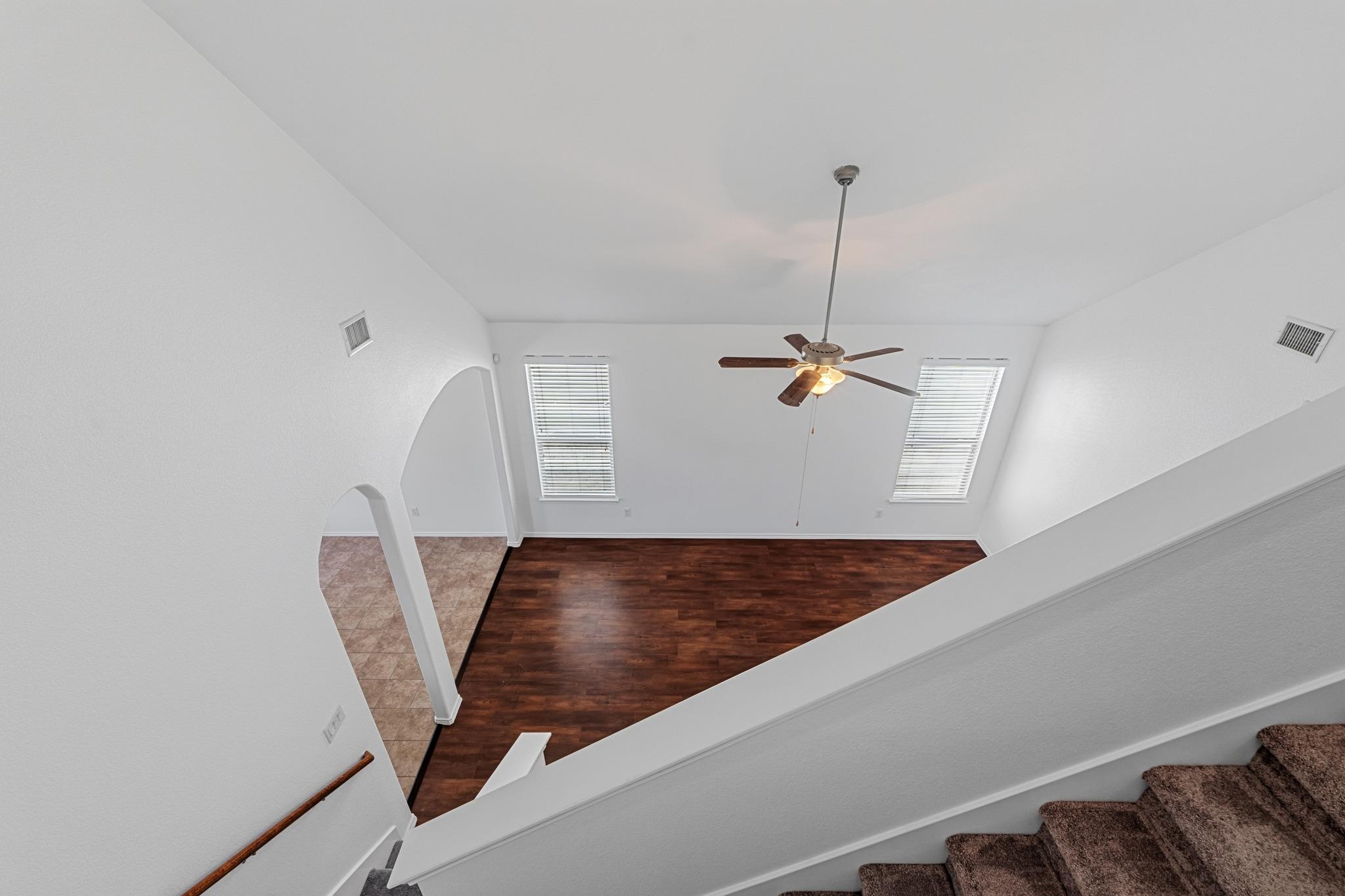 172 Housefinch LOOP