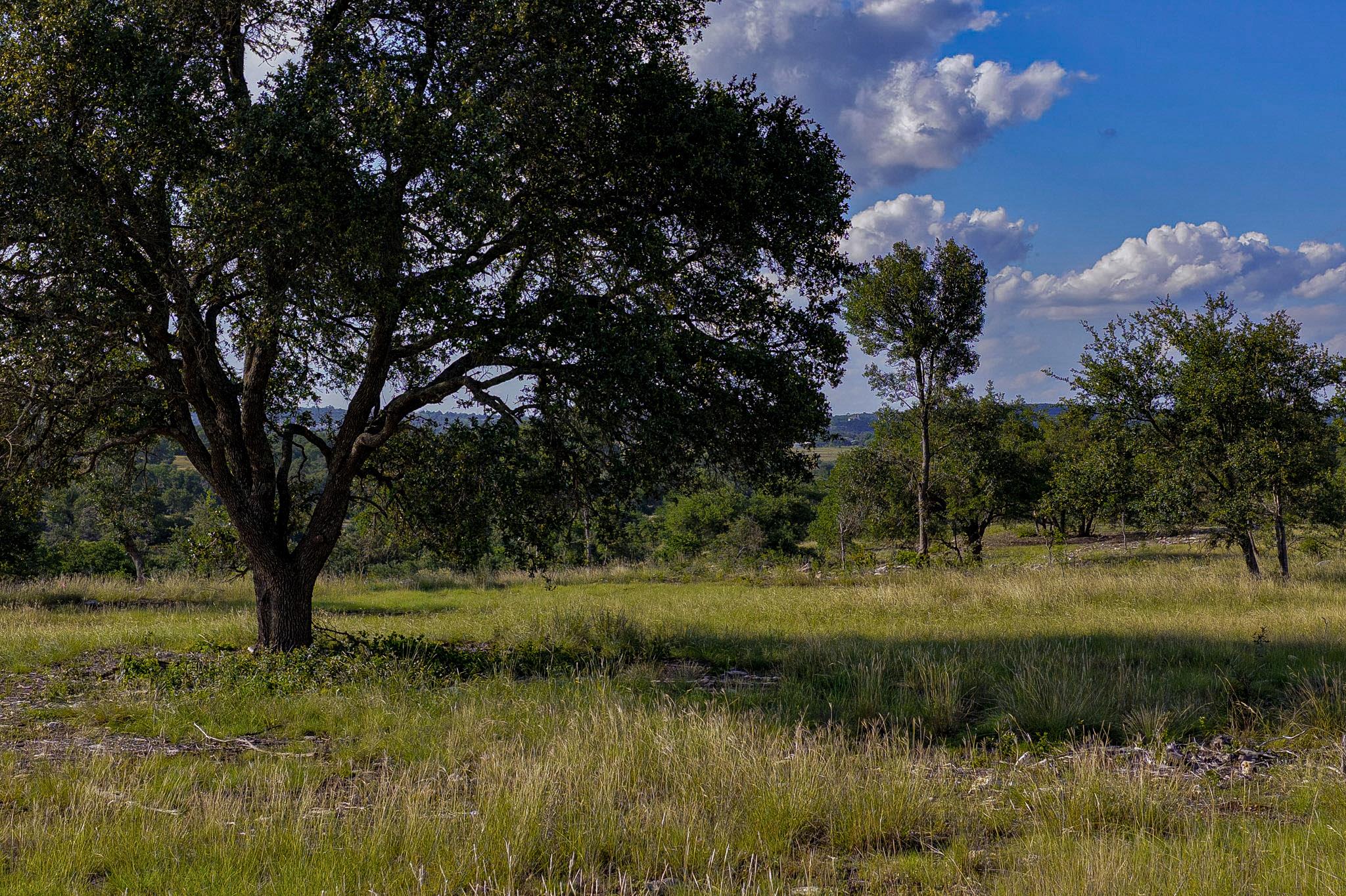 Lot 11 Maddalena LN