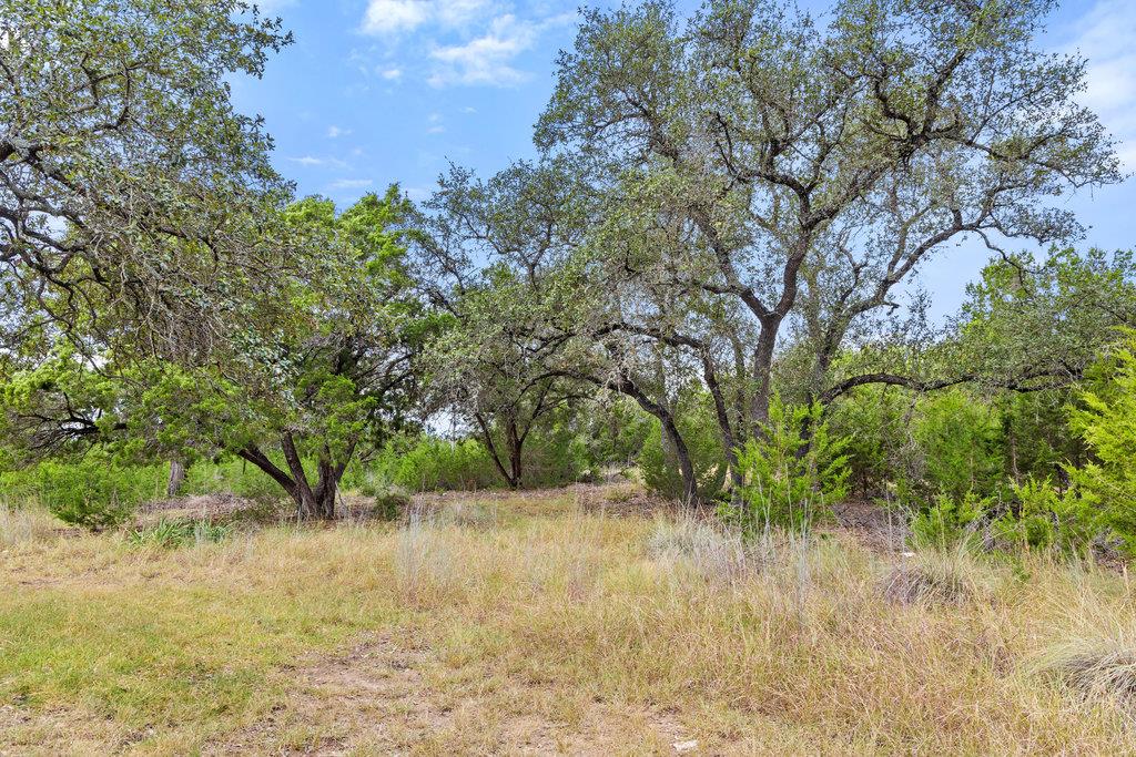 18305 Cedar Sage CT