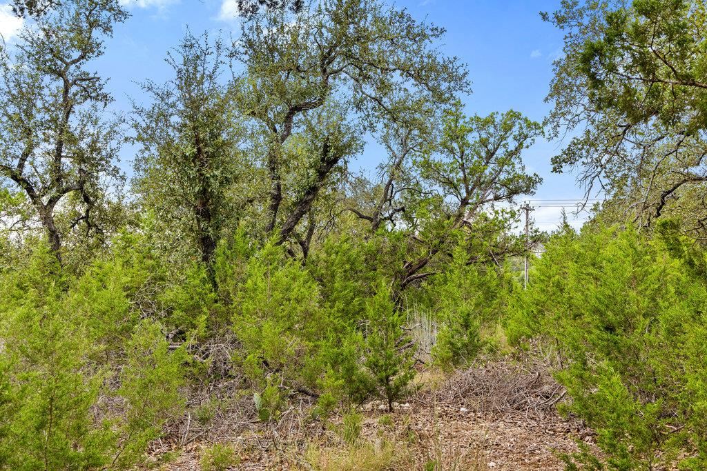 18305 Cedar Sage CT