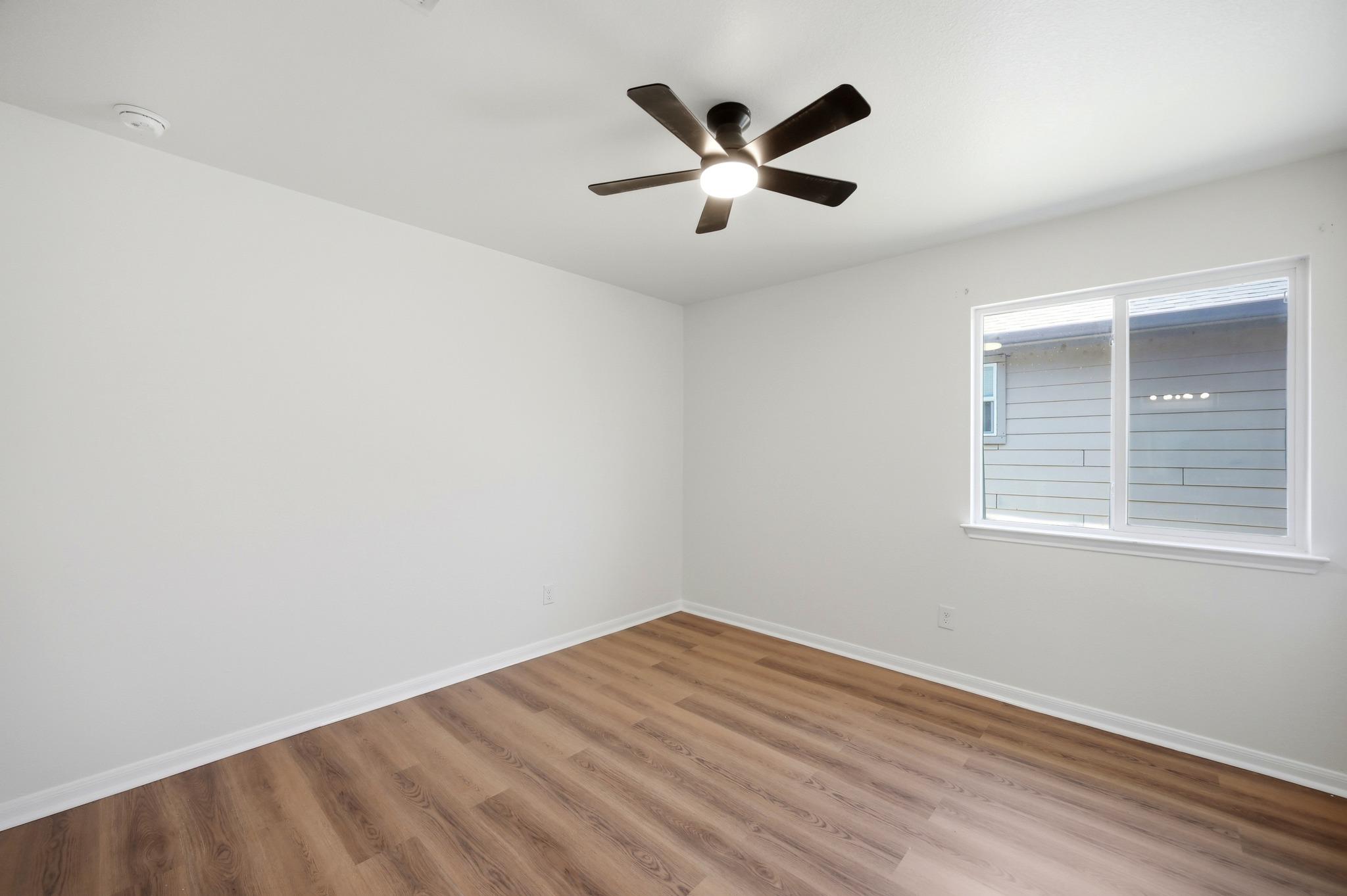209 Hoya LN