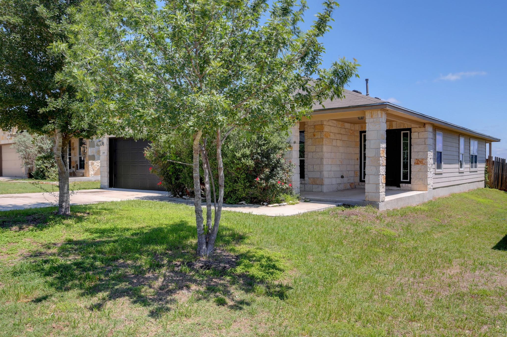 209 Hoya LN