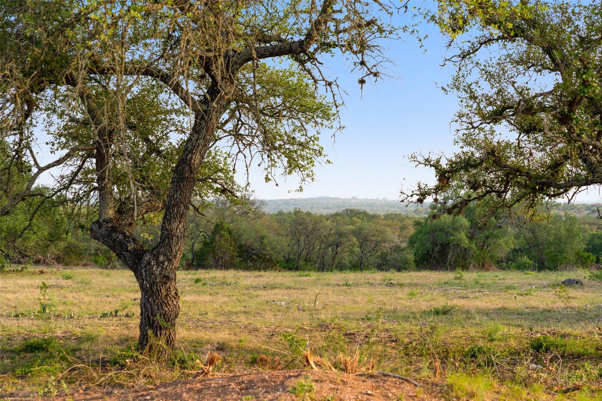 10 Pedernales Canyon TRL