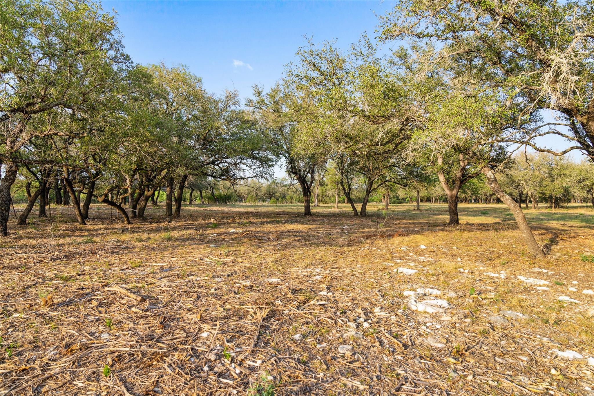 10 Pedernales Canyon TRL