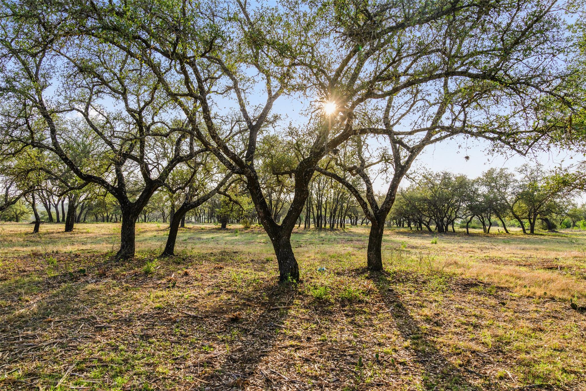 10 Pedernales Canyon TRL