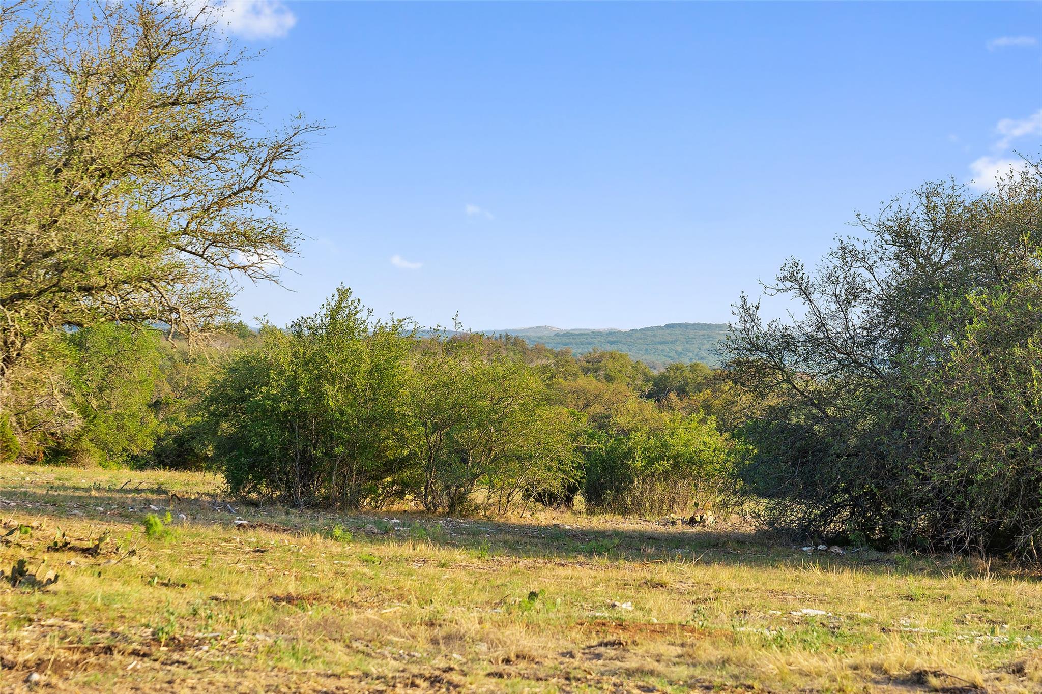 10 Pedernales Canyon TRL