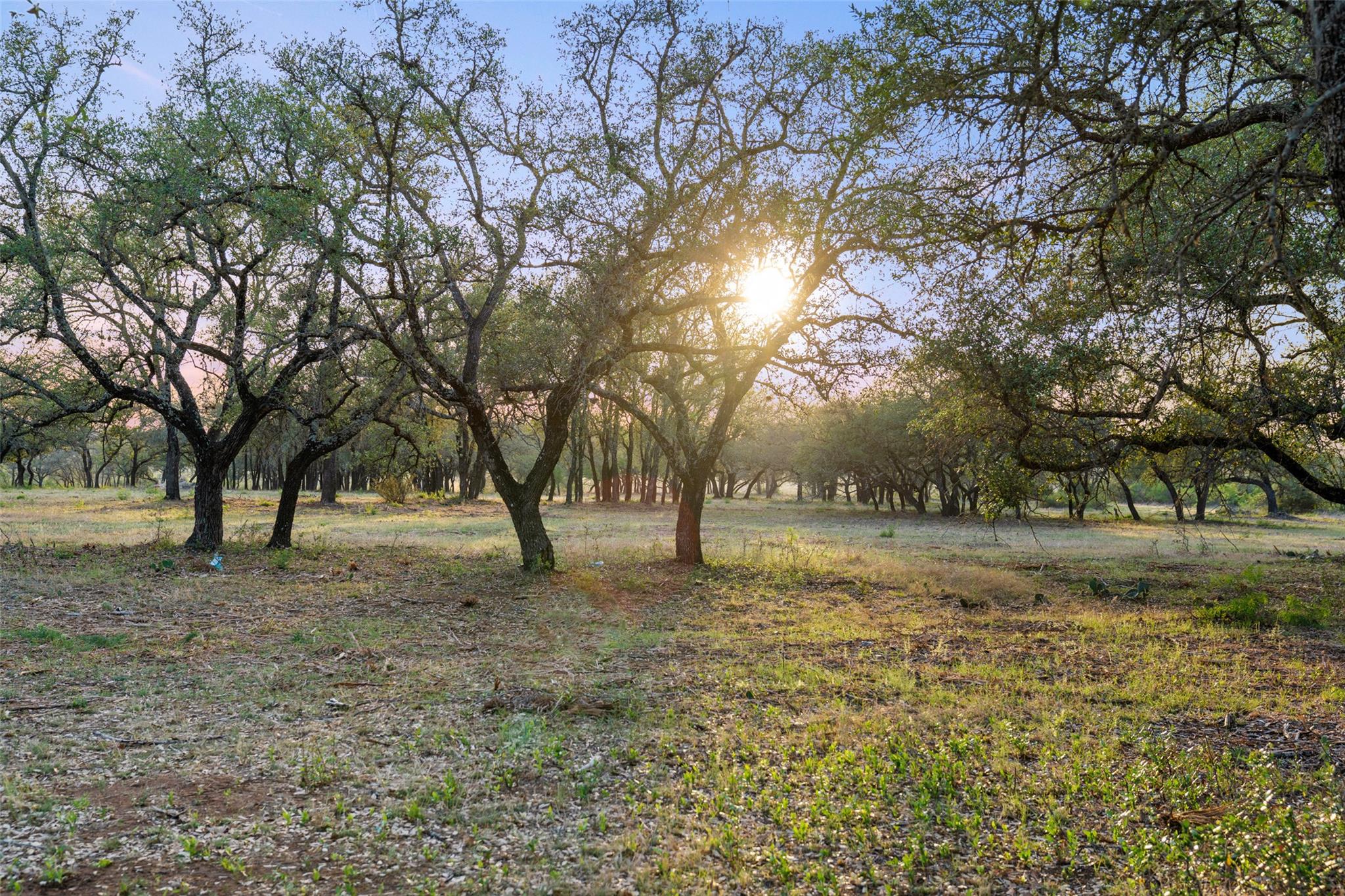 10 Pedernales Canyon TRL