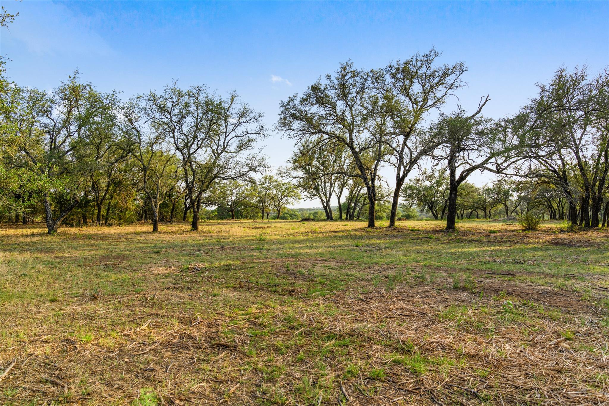 10 Pedernales Canyon TRL
