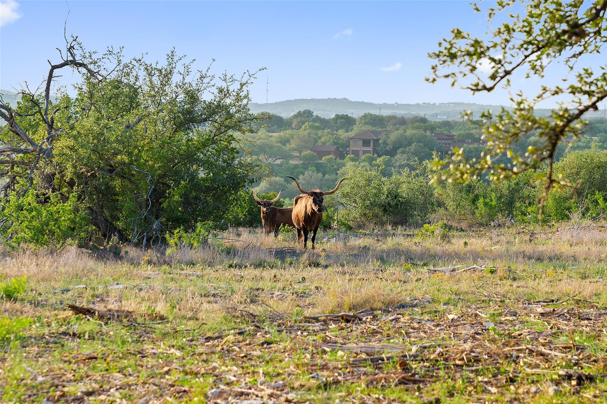 10 Pedernales Canyon TRL