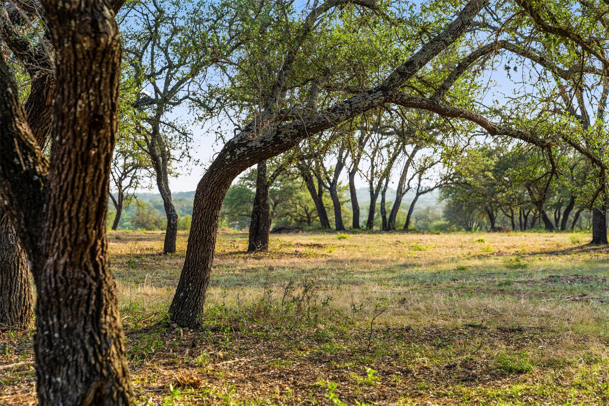 10 Pedernales Canyon TRL