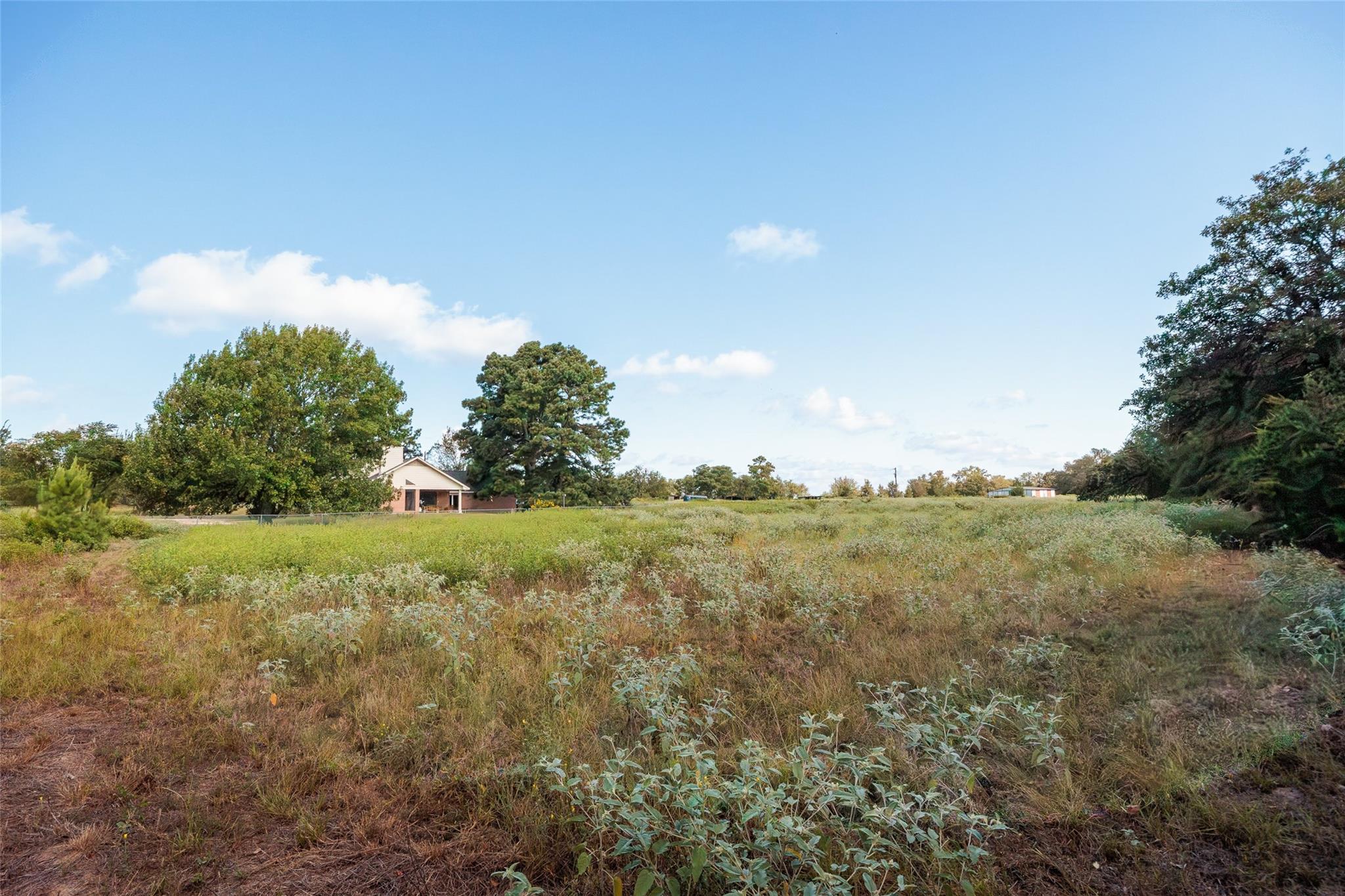 161 County Road 441