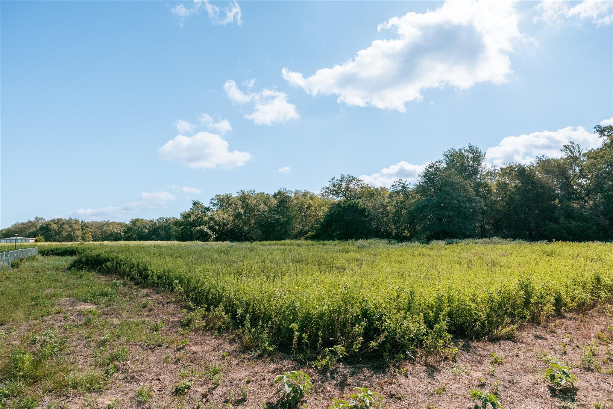 161 County Road 441