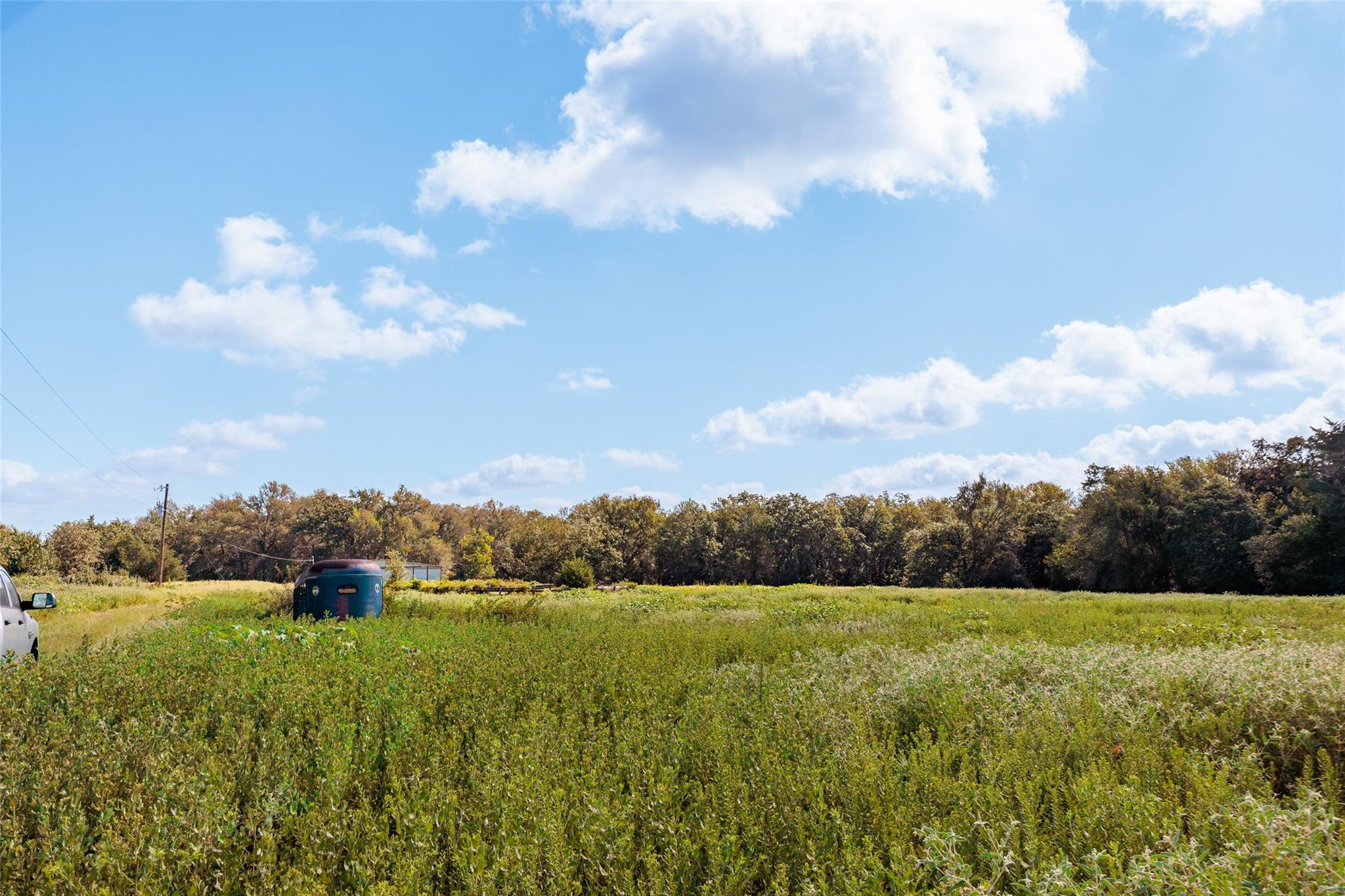 161 County Road 441