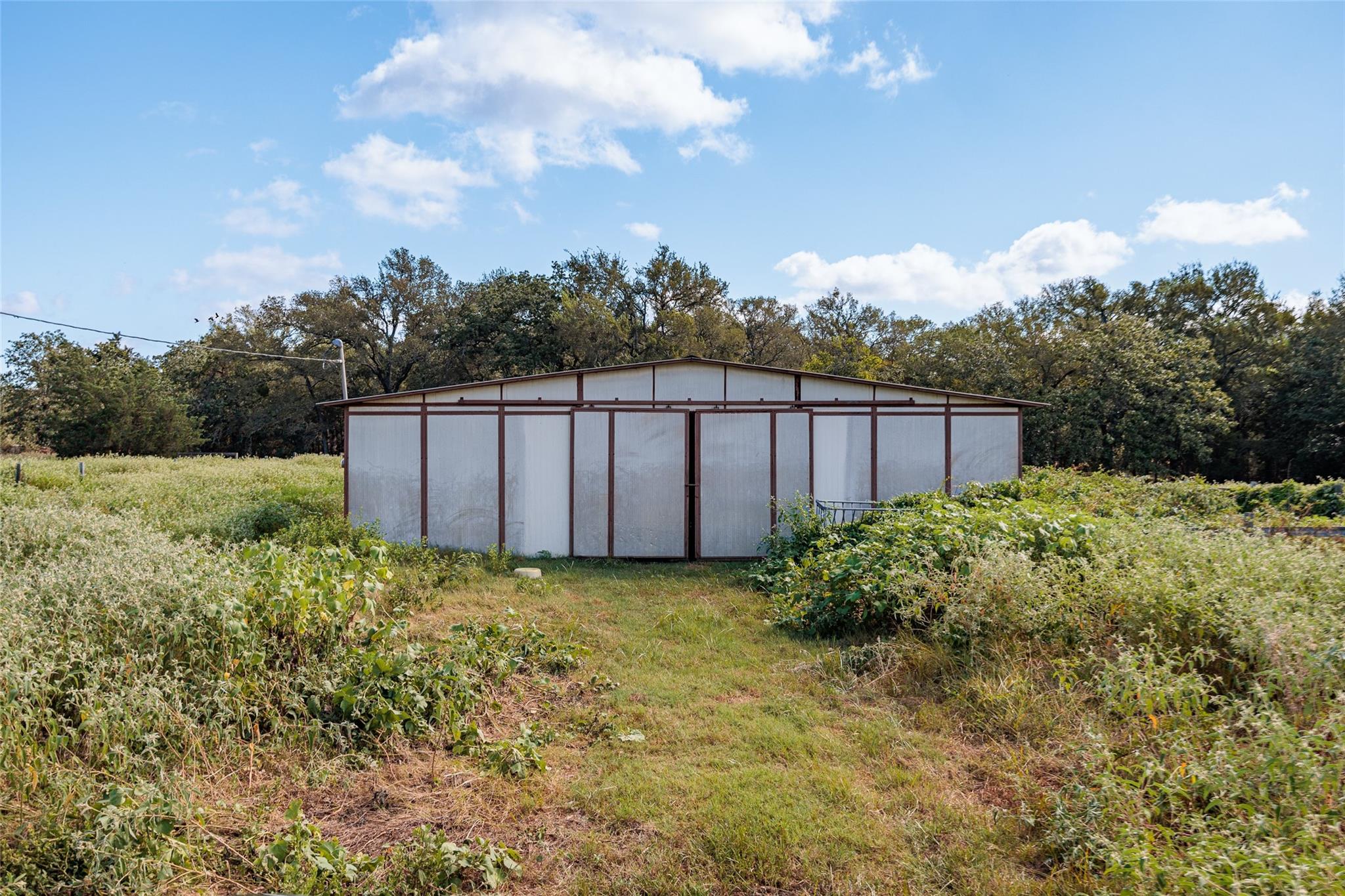 161 County Road 441
