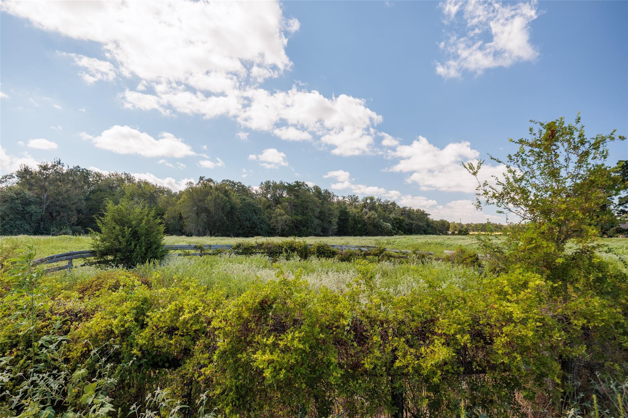 161 County Road 441