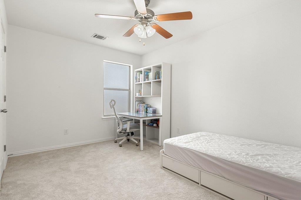 3013 Agave LOOP